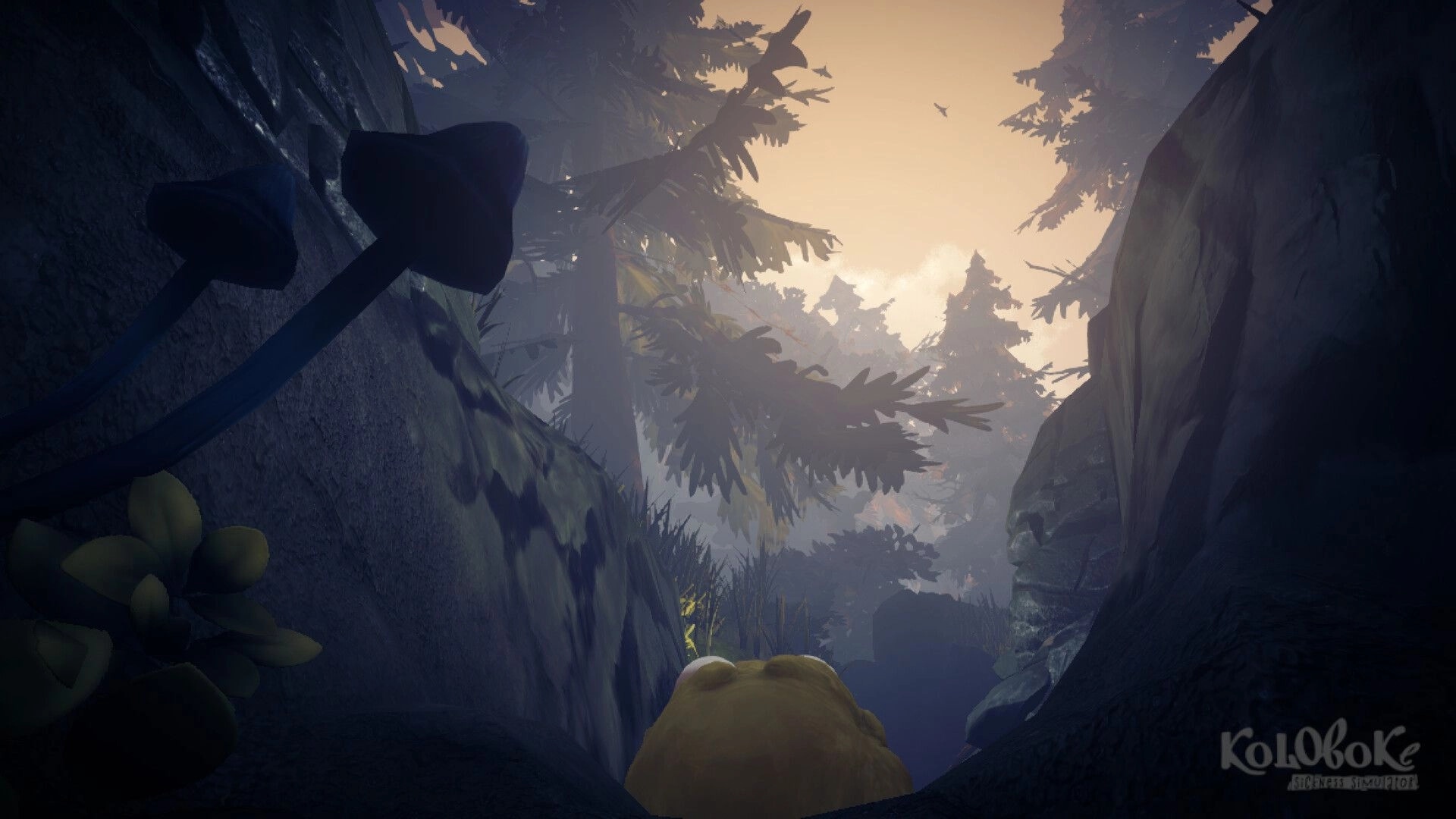 Koloboke: Forest landscape with mushrooms and rocky terrain under a twilight sky with silhouetted trees