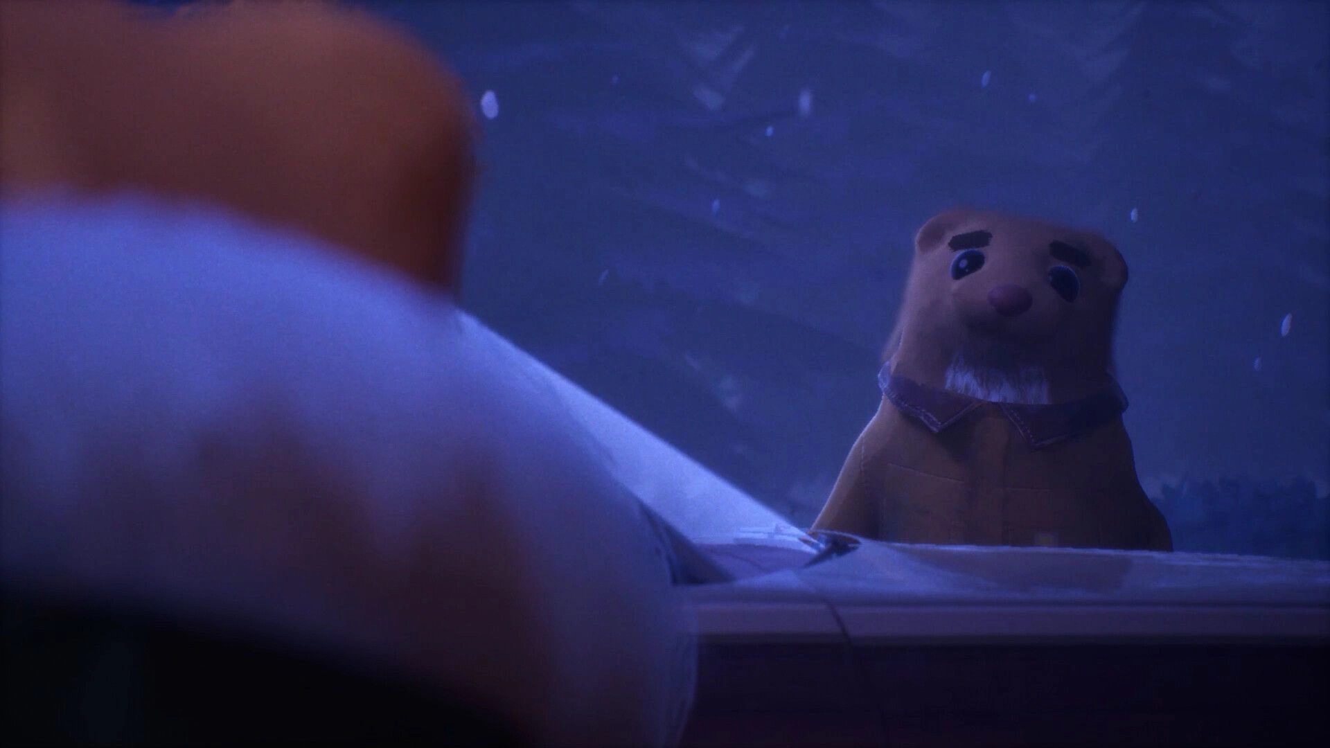 Light Up The Town: Bean, the ferret, peers through a frosty window in snowy Bellflower, Colorado.