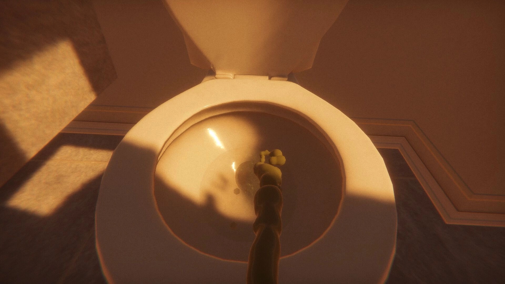 Loading...: Top-down view of toilet bowl with feces in water, warm sunlight in tiled bathroom.