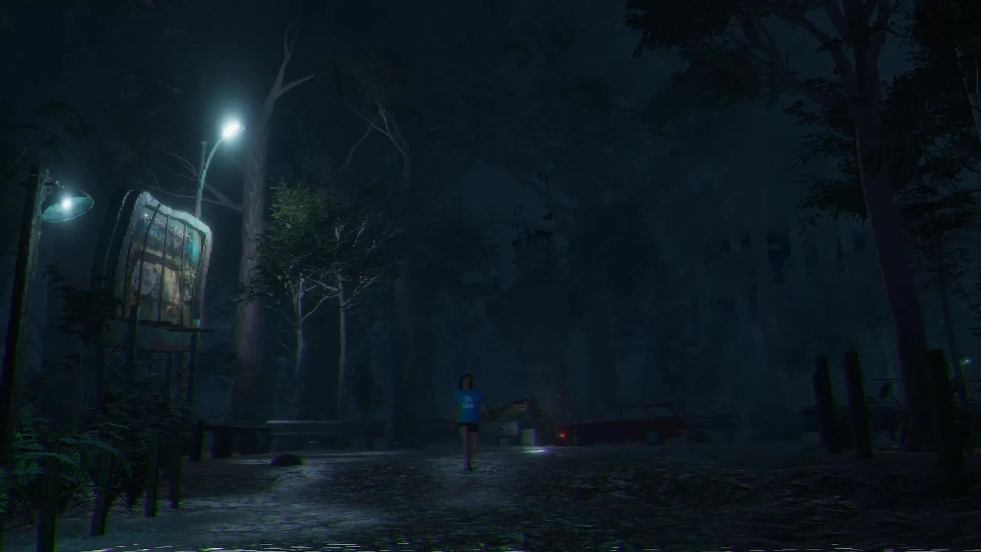 Loggerhead: Character walking in dimly lit forest with billboard and parked car in background