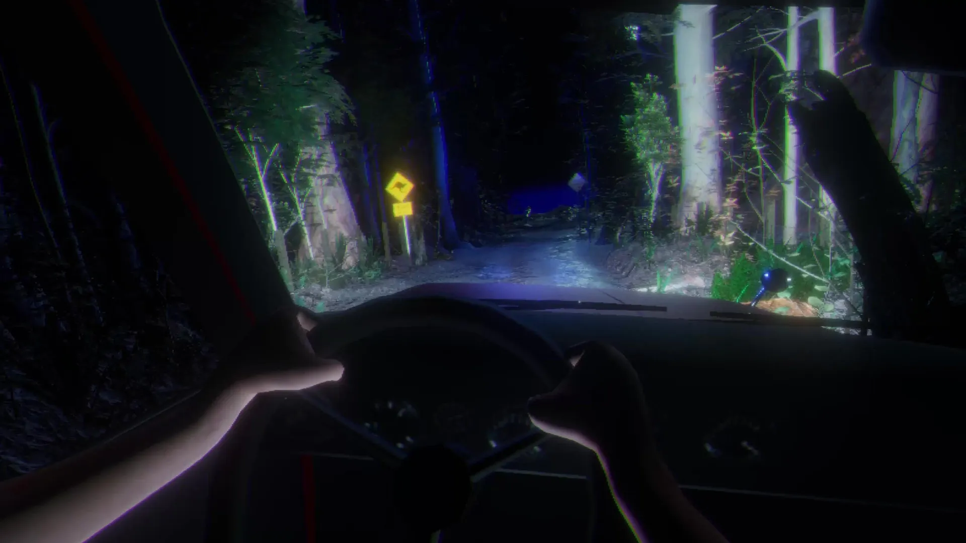 Loggerhead: Driving at night through dense forest on narrow dirt road with caution sign visible