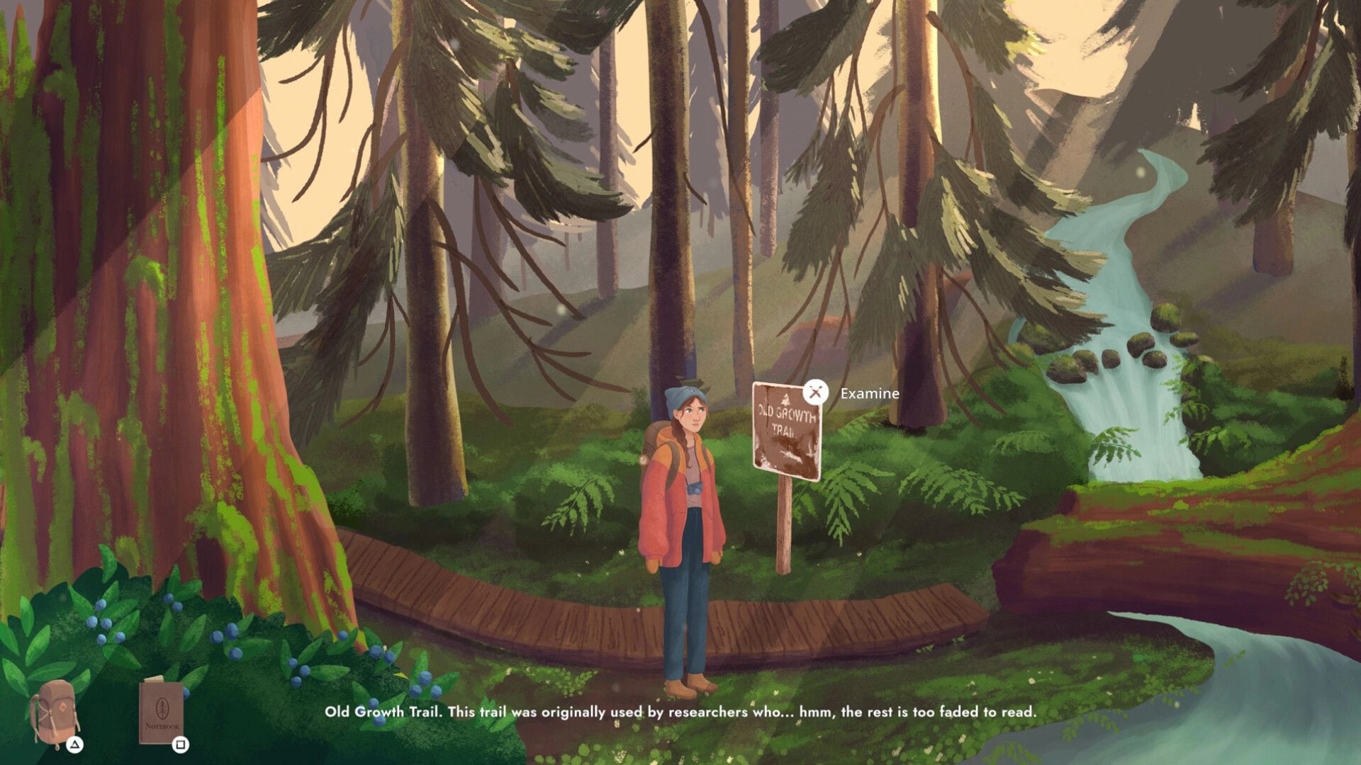 Lone Pine: Izzie examines Old Growth Trail sign on a boardwalk in a misty forest by waterfall.