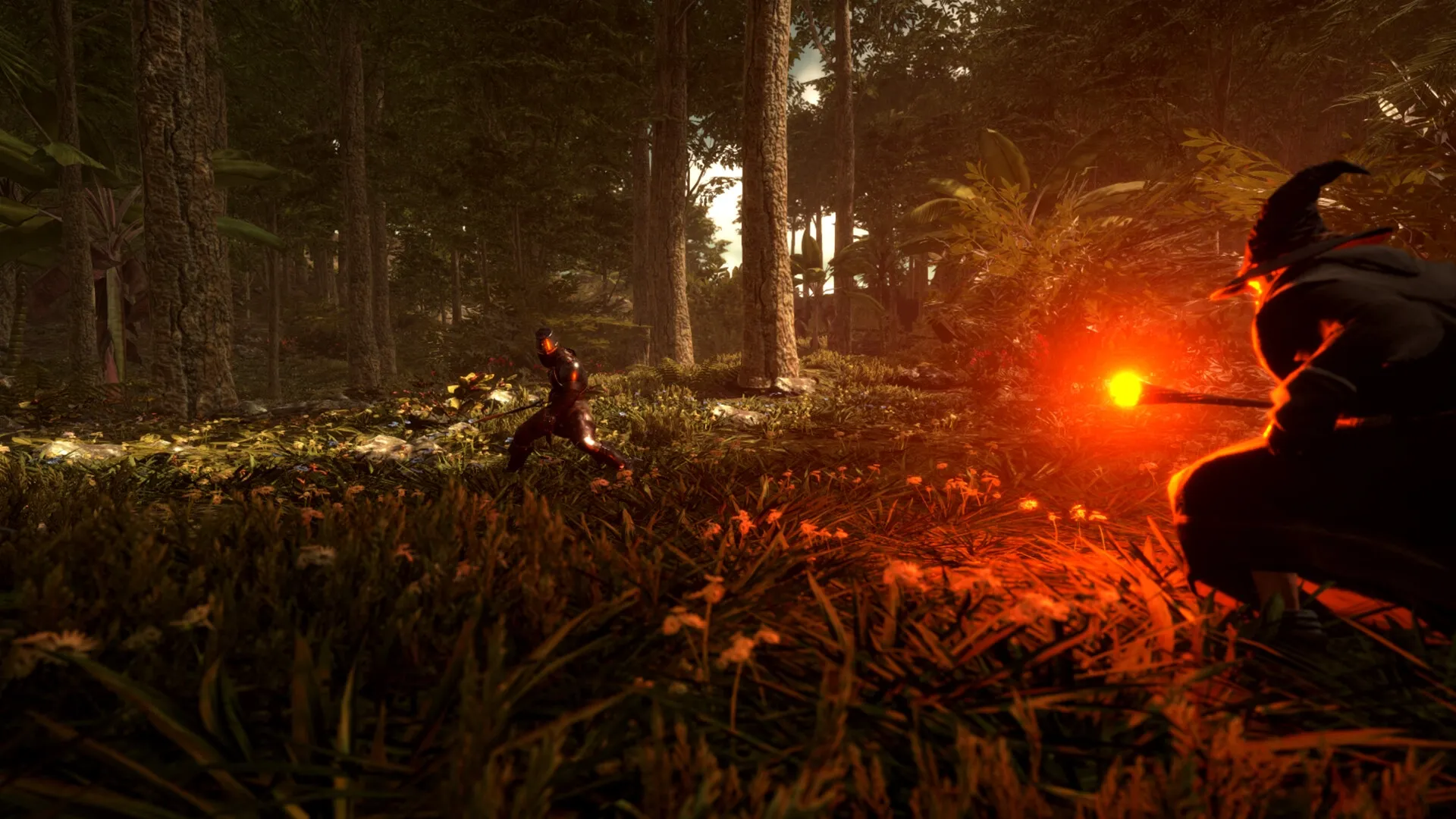 Lost Isle: Wizard casting fiery spell at armored warrior in lush, dense forest setting