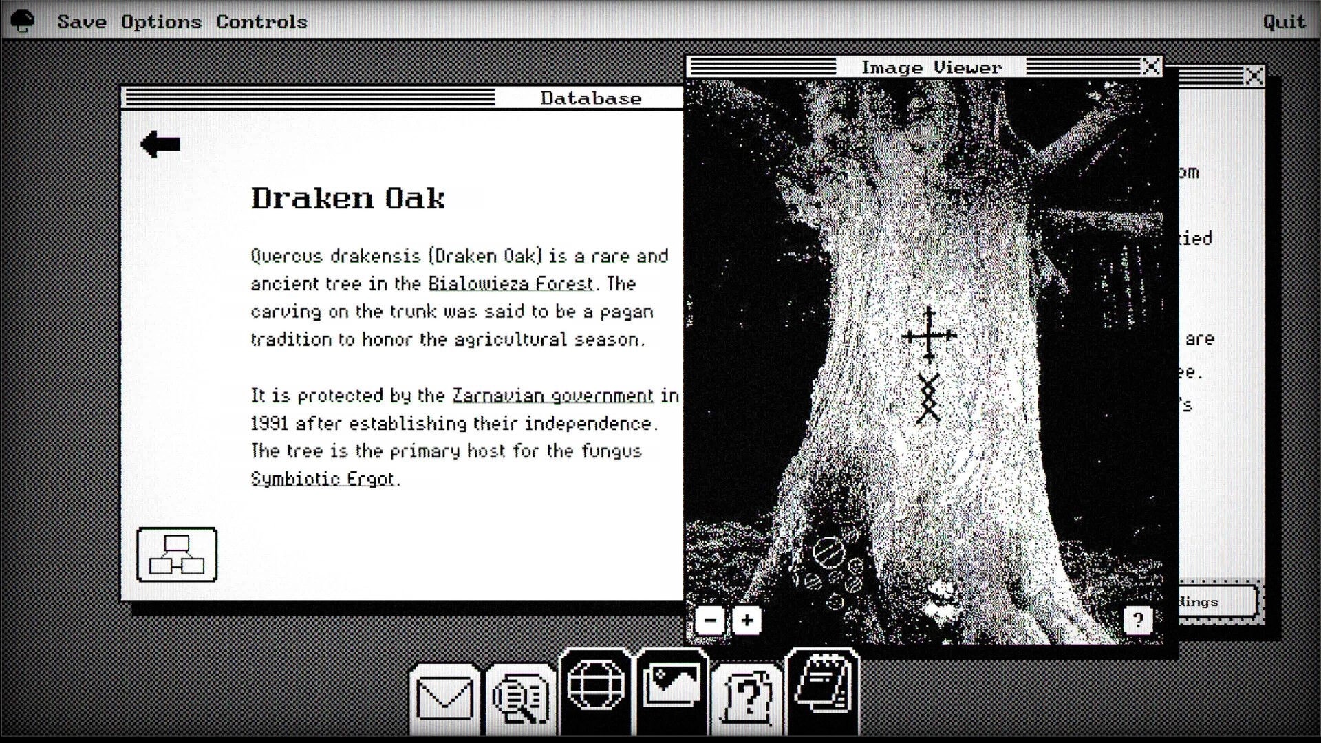 Lost Wiki: Database entry on Draken Oak with an image viewer showing a carved tree trunk in monochrome