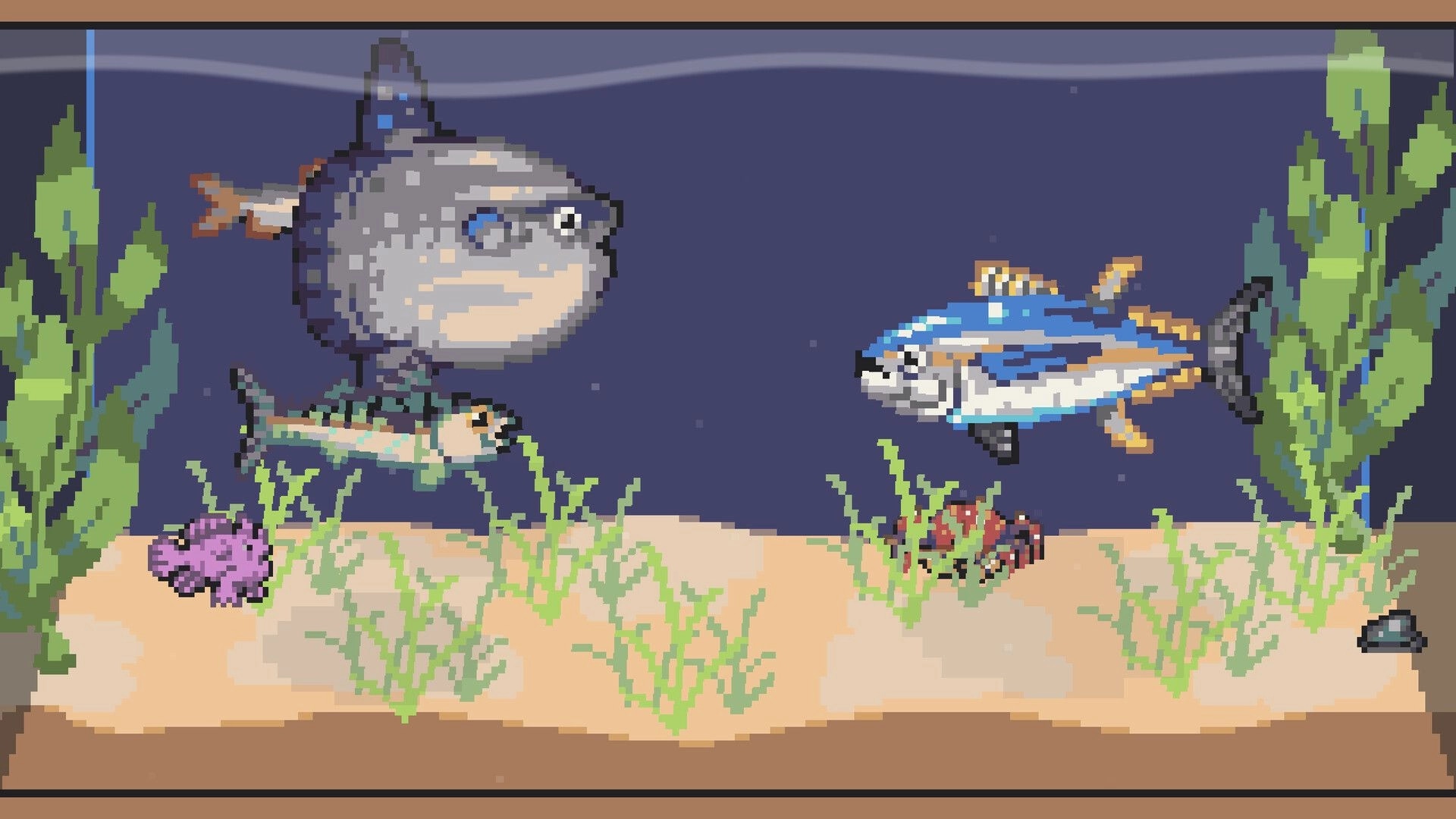 Lured In: Pixel fish swim past seaweed and sand in an aquarium tank with rocks and coral below.