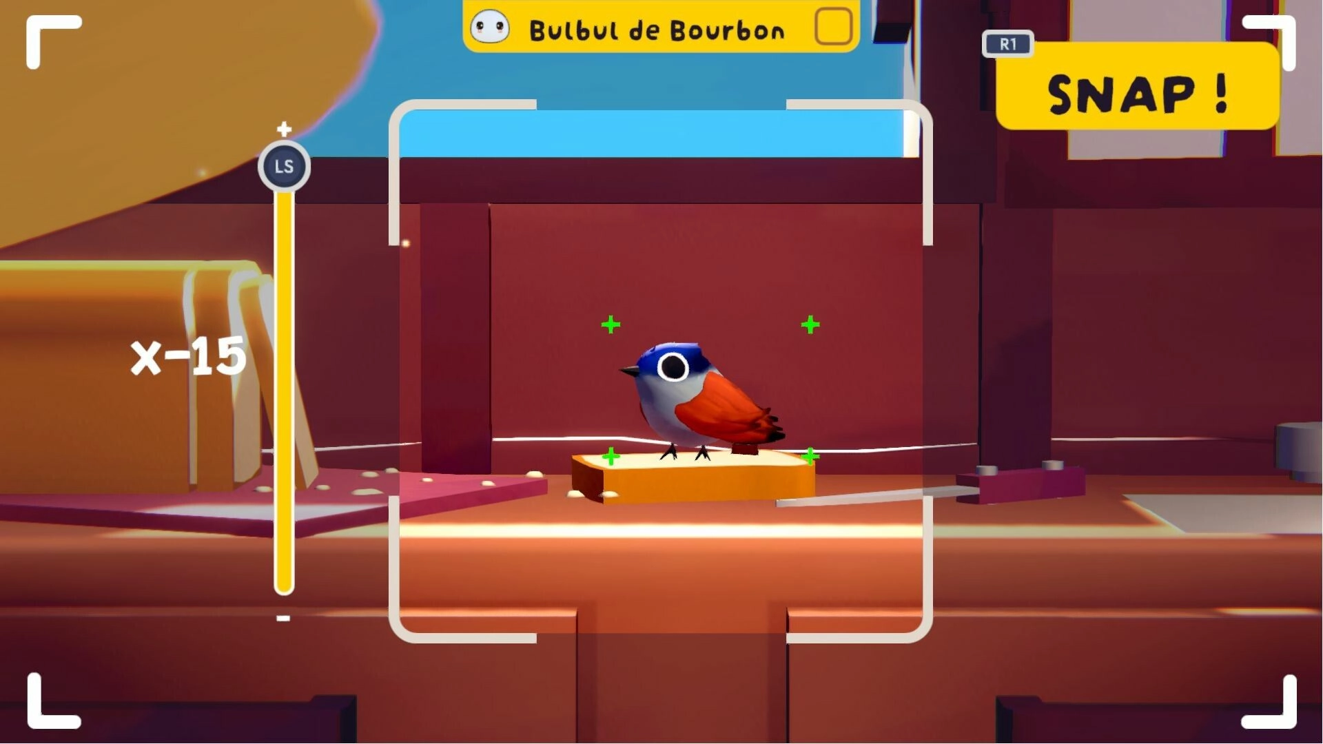 MAFATE: Photographing Bulbul de Bourbon bird with camera interface in colorful room setting.