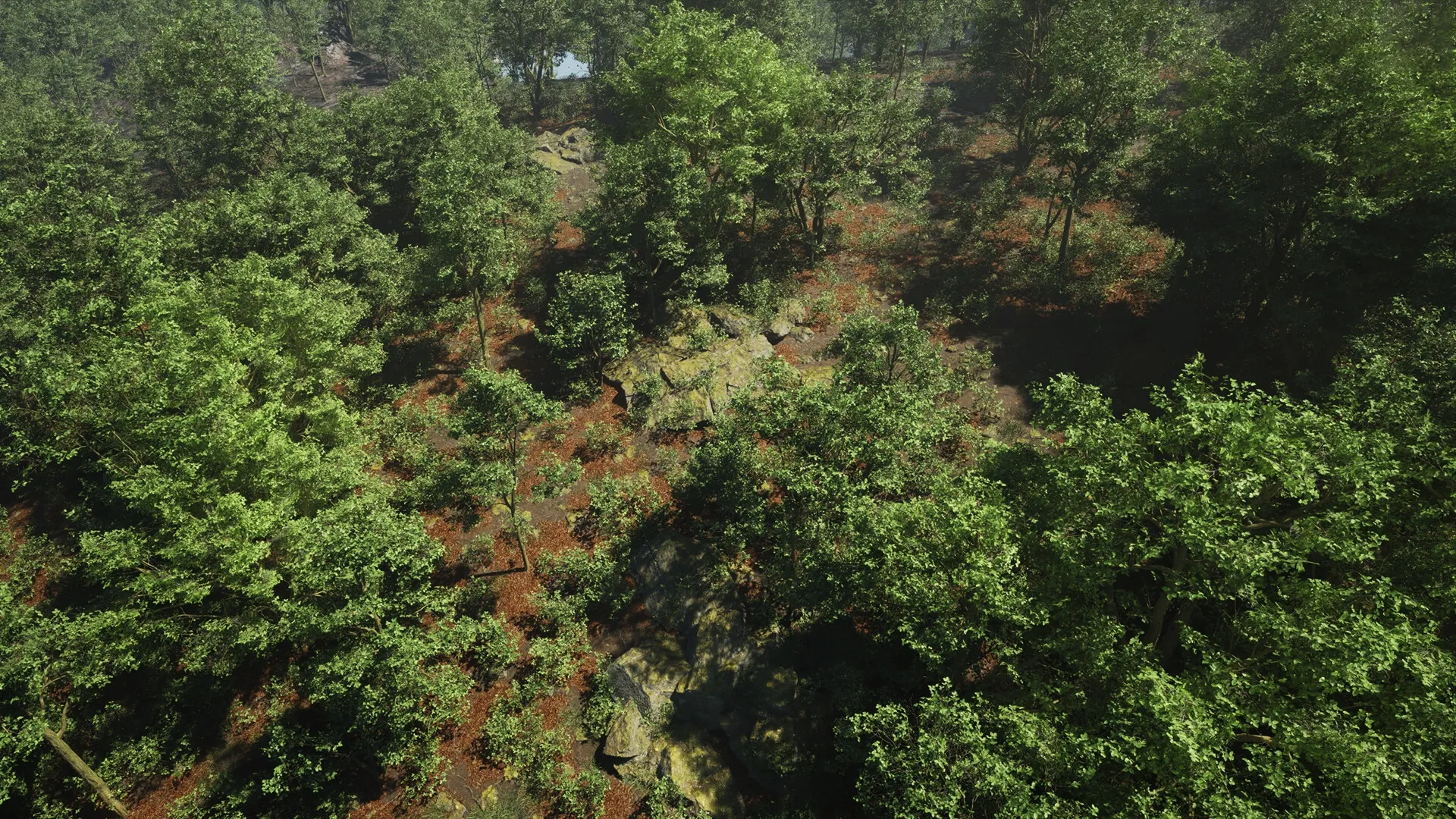Menyr: Lush forest environment with dense green foliage and scattered rocks visible from an overhead view