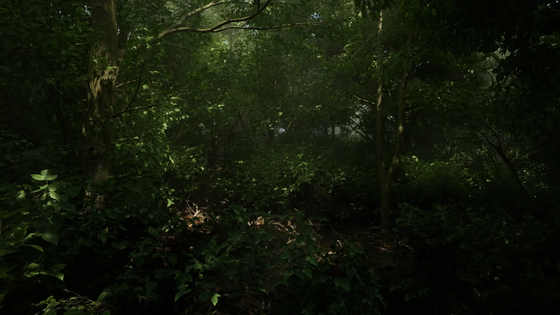 Menyr: Dense forest environment with lush greenery and sunlight filtering through the tree canopy