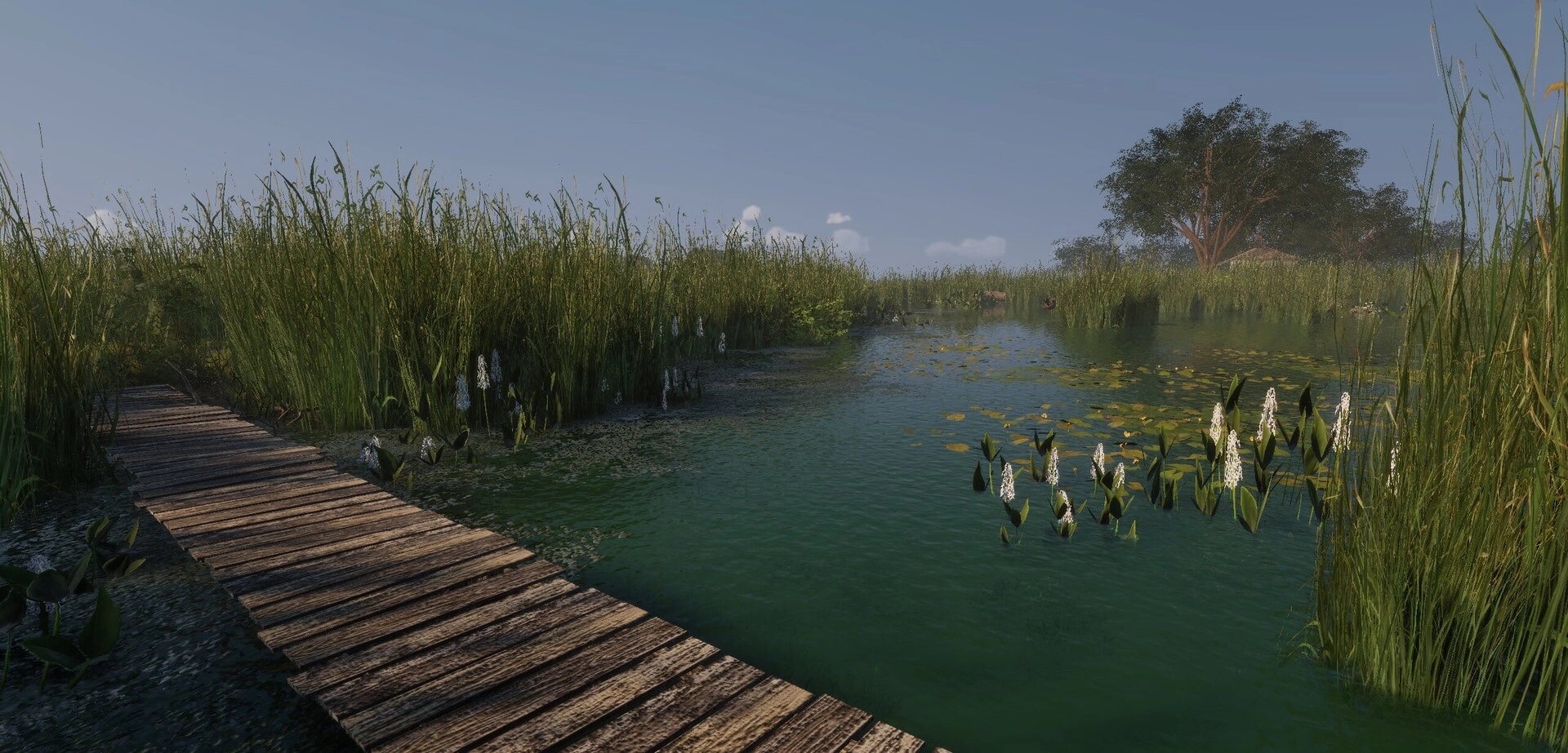 MLF: Quiet marsh waterway beside a wooden boardwalk with reeds and lily pads under clear sky.