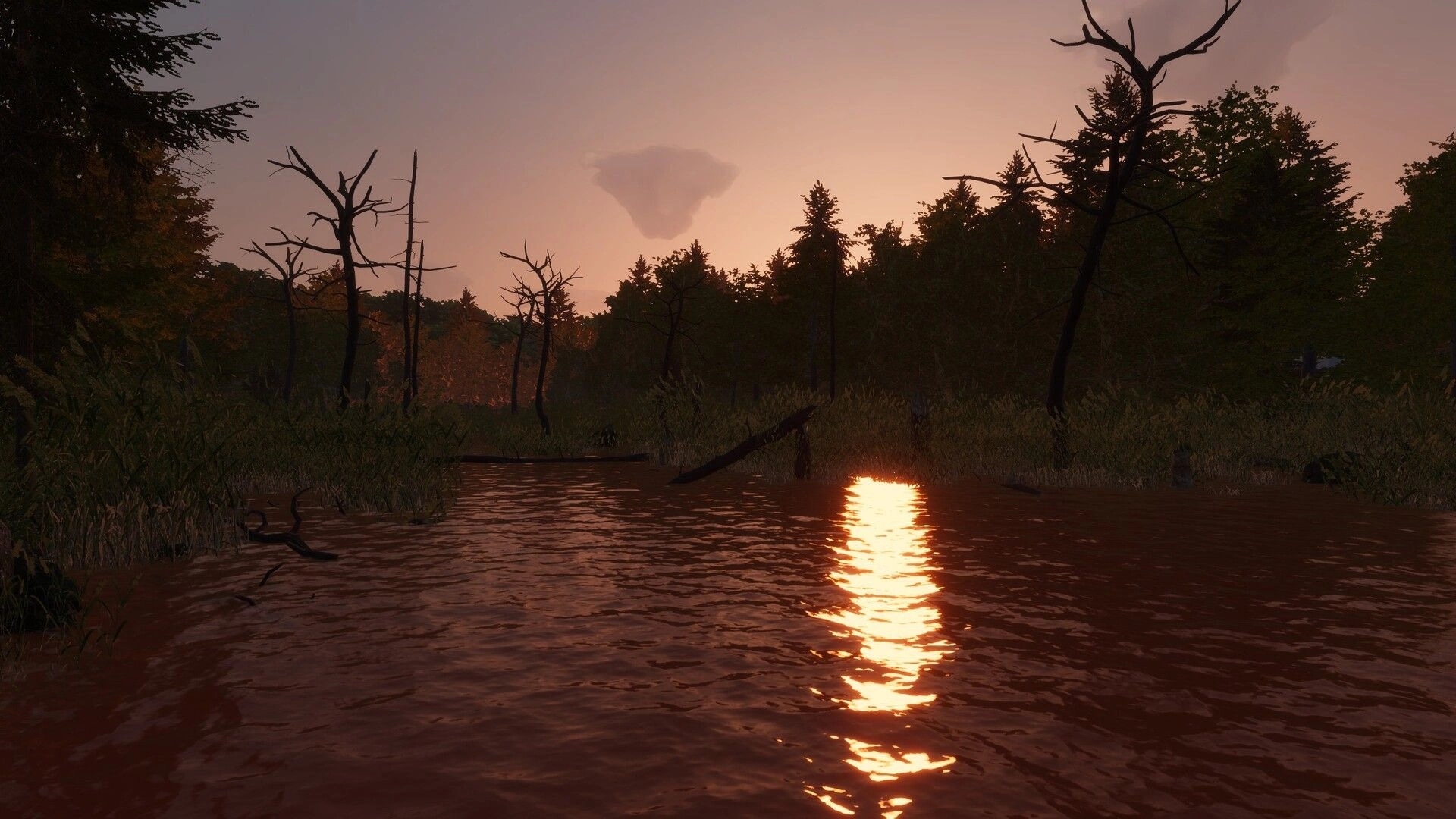 MLF: Calm river view with sunset reflection and dead trees along the bank in a wooded swamp area.