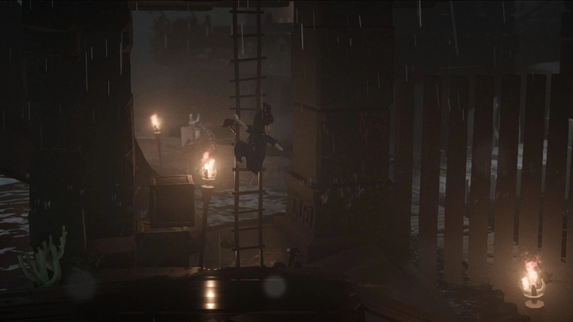 Mona: Climbing a ladder in a dark, torch-lit dungeon with eerie shadows and rain falling around