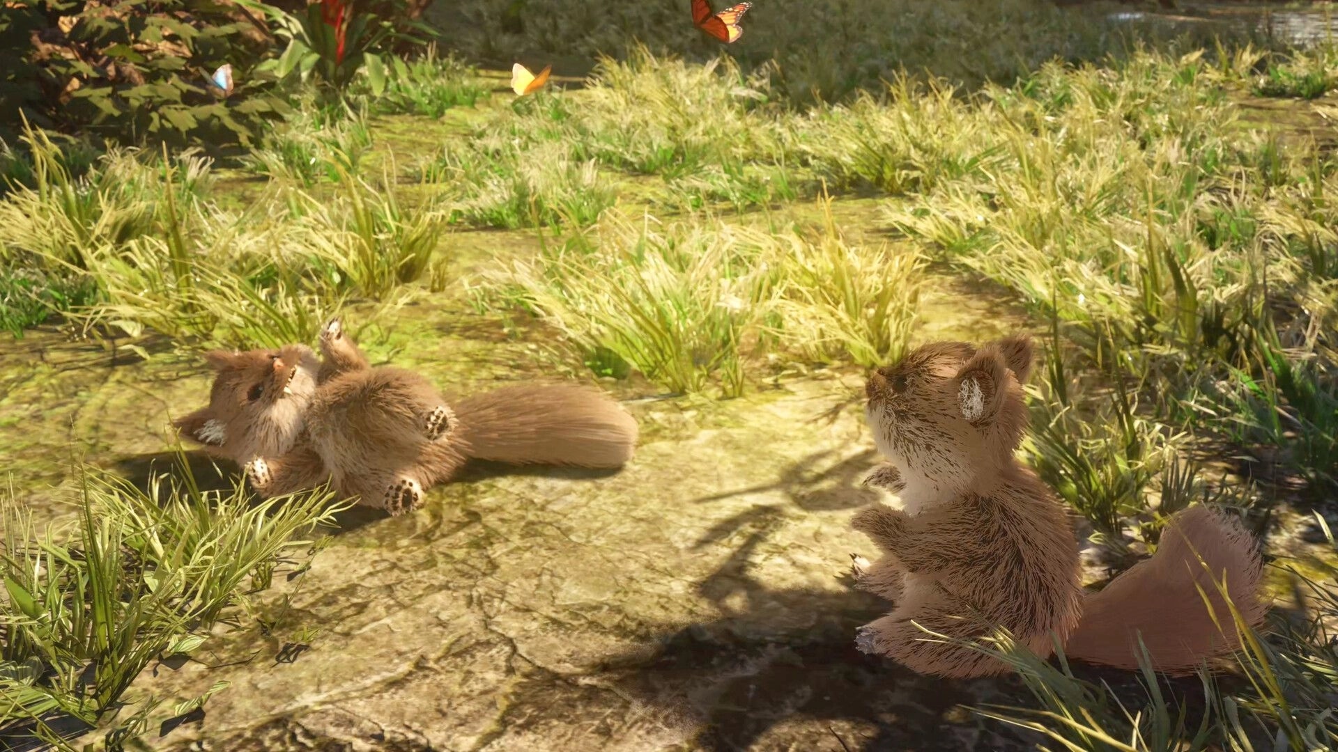 Monster Fantasy: Two fluffy squirrel-like critters lounging on a sunlit grassy path with butterflies.
