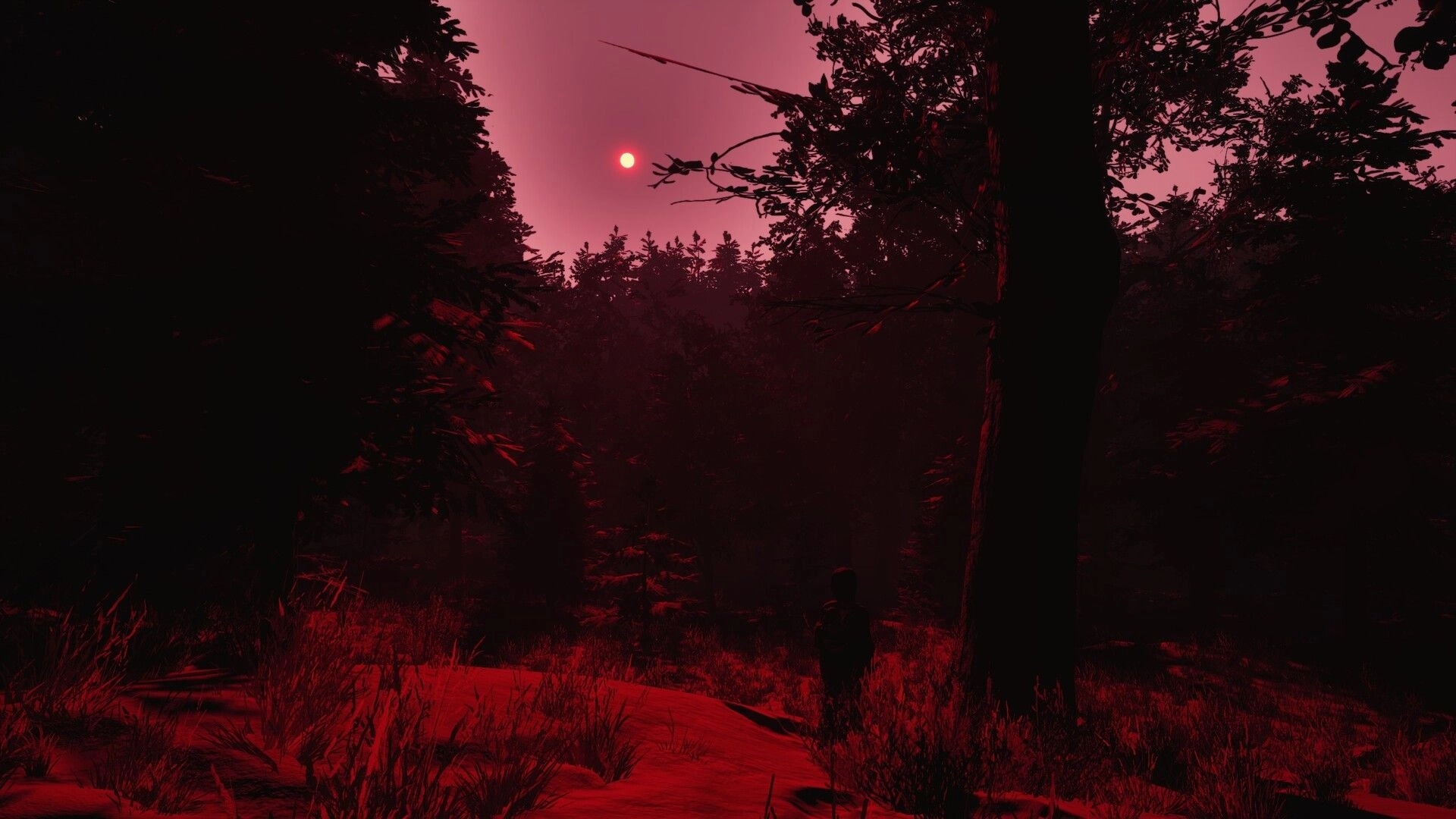 Mycelium: Lone figure stands in eerie red-lit forest under a setting sun, surrounded by dense trees.