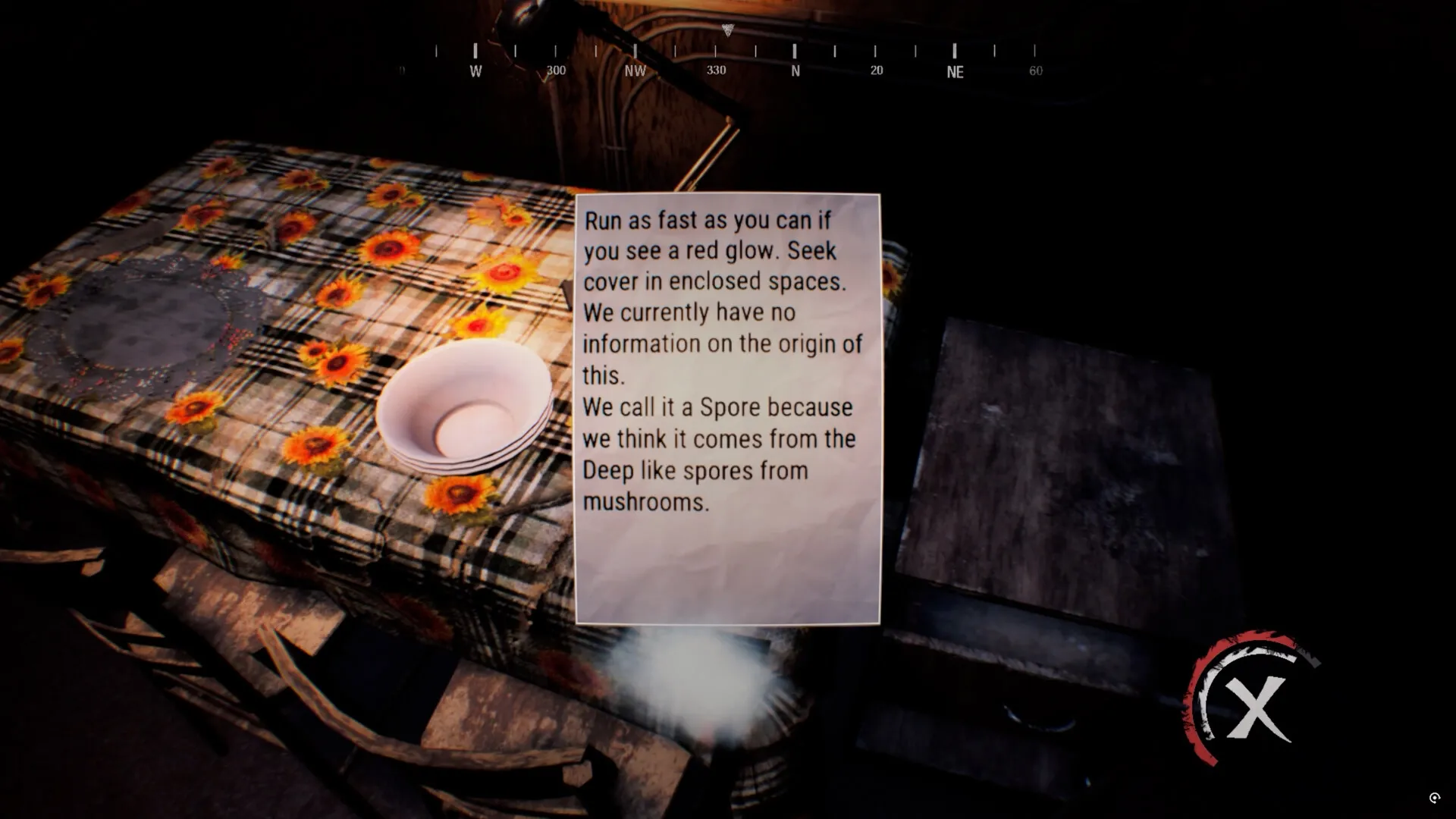 NEDRA: Note on sunflower-patterned table warns about red glow danger in dimly lit Antarctic station room.