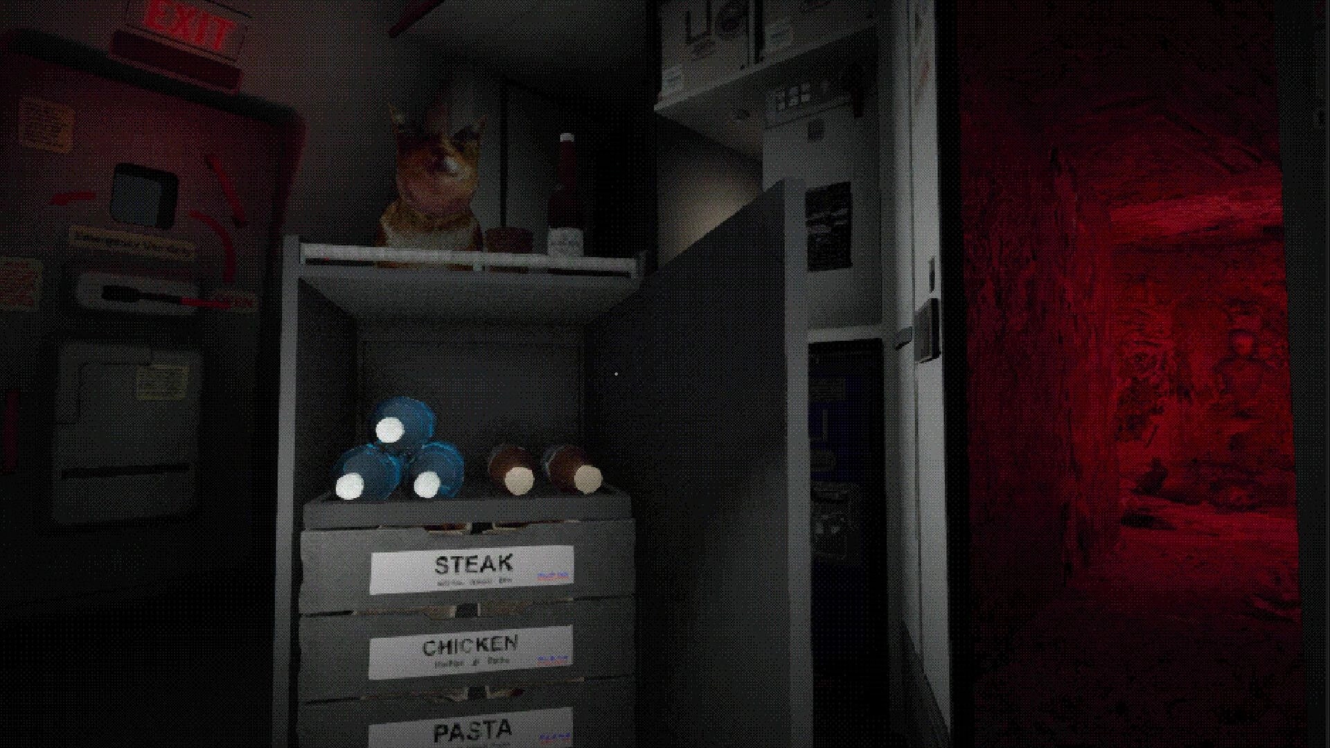 Night Plane: Galley storage with labeled meal drawers and bottles beside a blood-red airplane door.