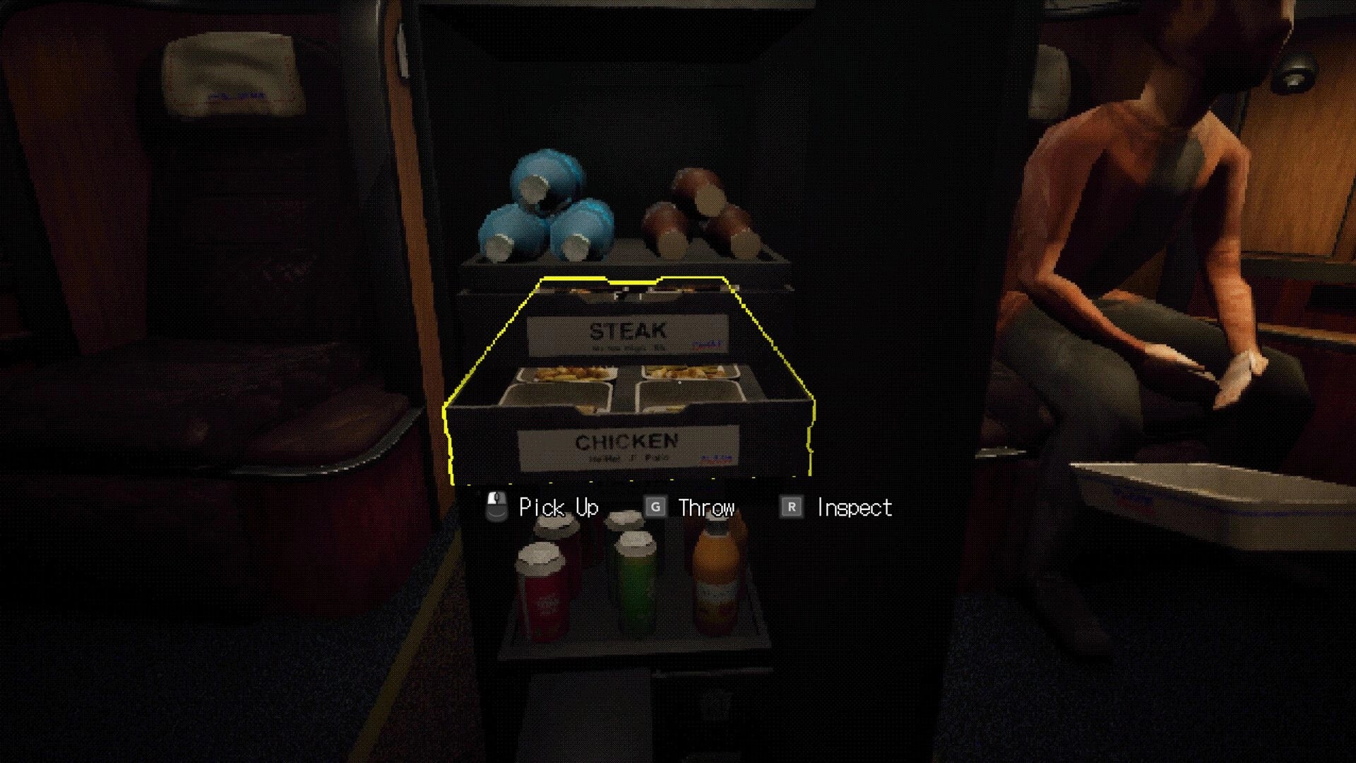Night Plane: Highlighted meal cart with steak and chicken trays in dim airplane cabin beside passenger.