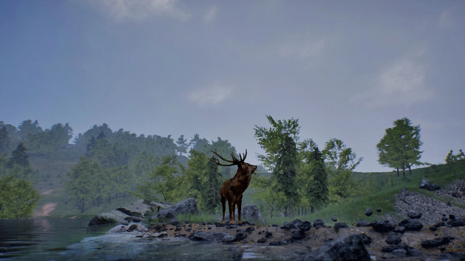 Nomad: Stag with large antlers standing on rocky riverbank in misty forested hills under sky.