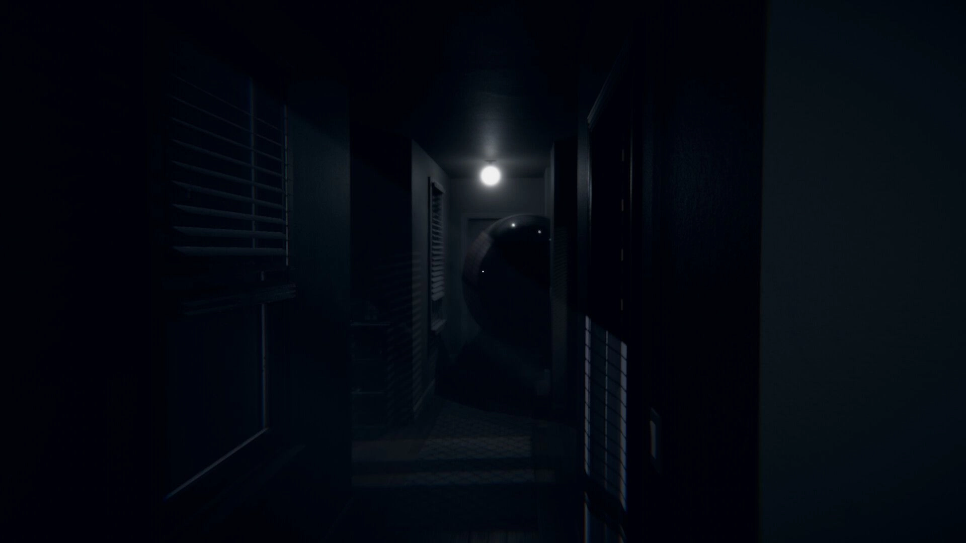Obfuscation: Dark hallway with a mysterious glowing orb under a ceiling light in a shadowy house setting