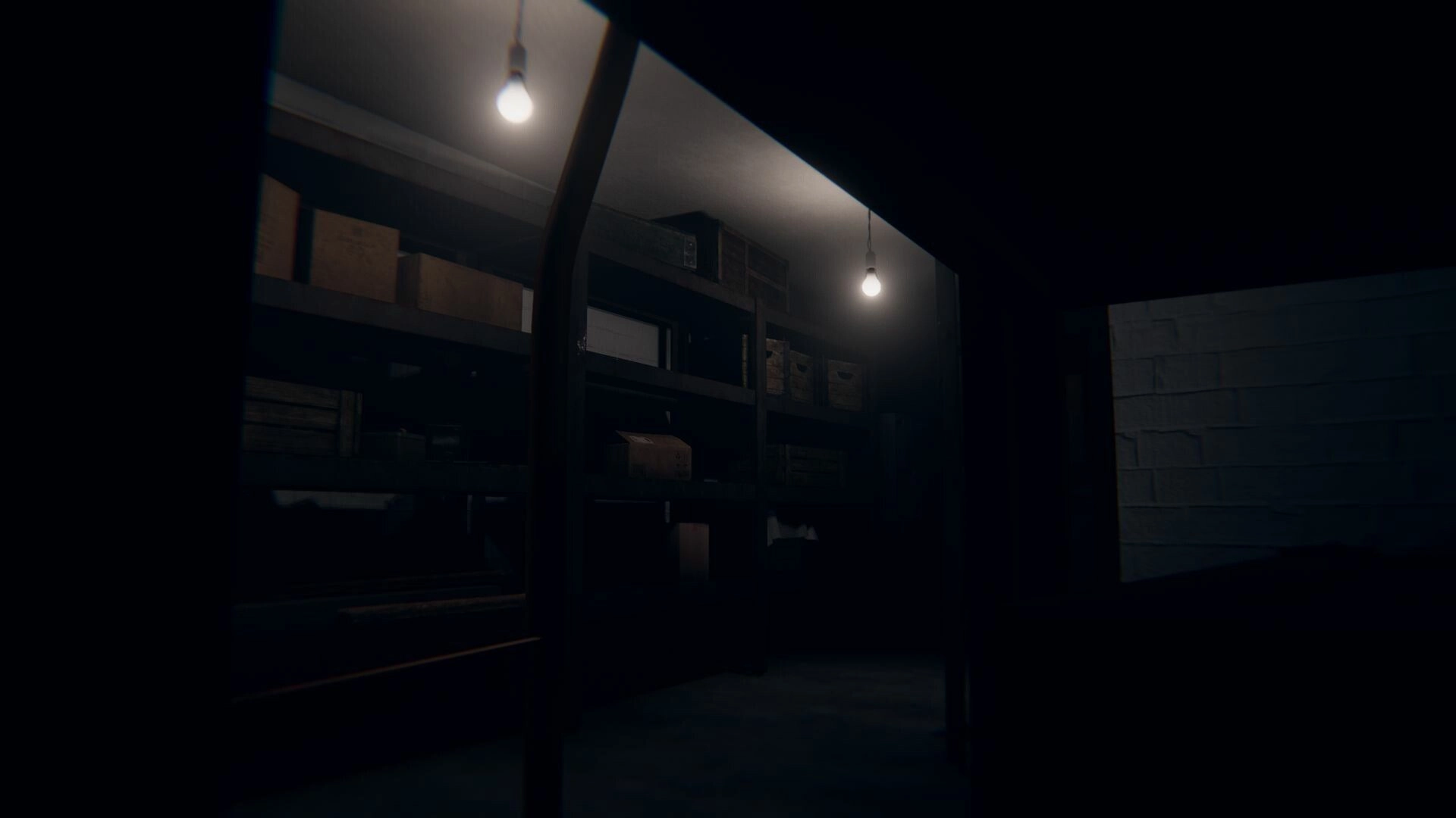 Obfuscation: Dimly lit basement with shelves of boxes and hanging light bulbs in a mysterious house