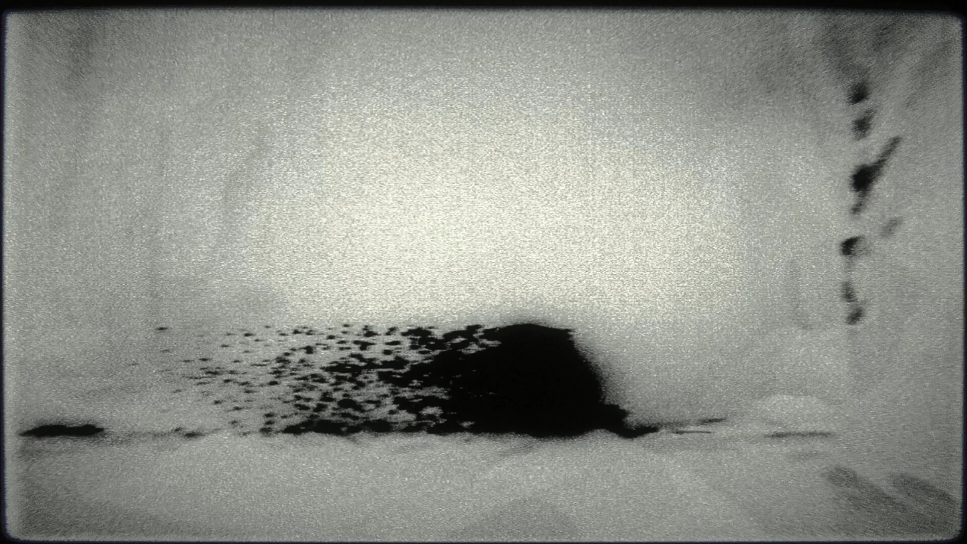 OMUT: Dark silhouette morphing amidst static noise in a surreal, distorted monochrome environment