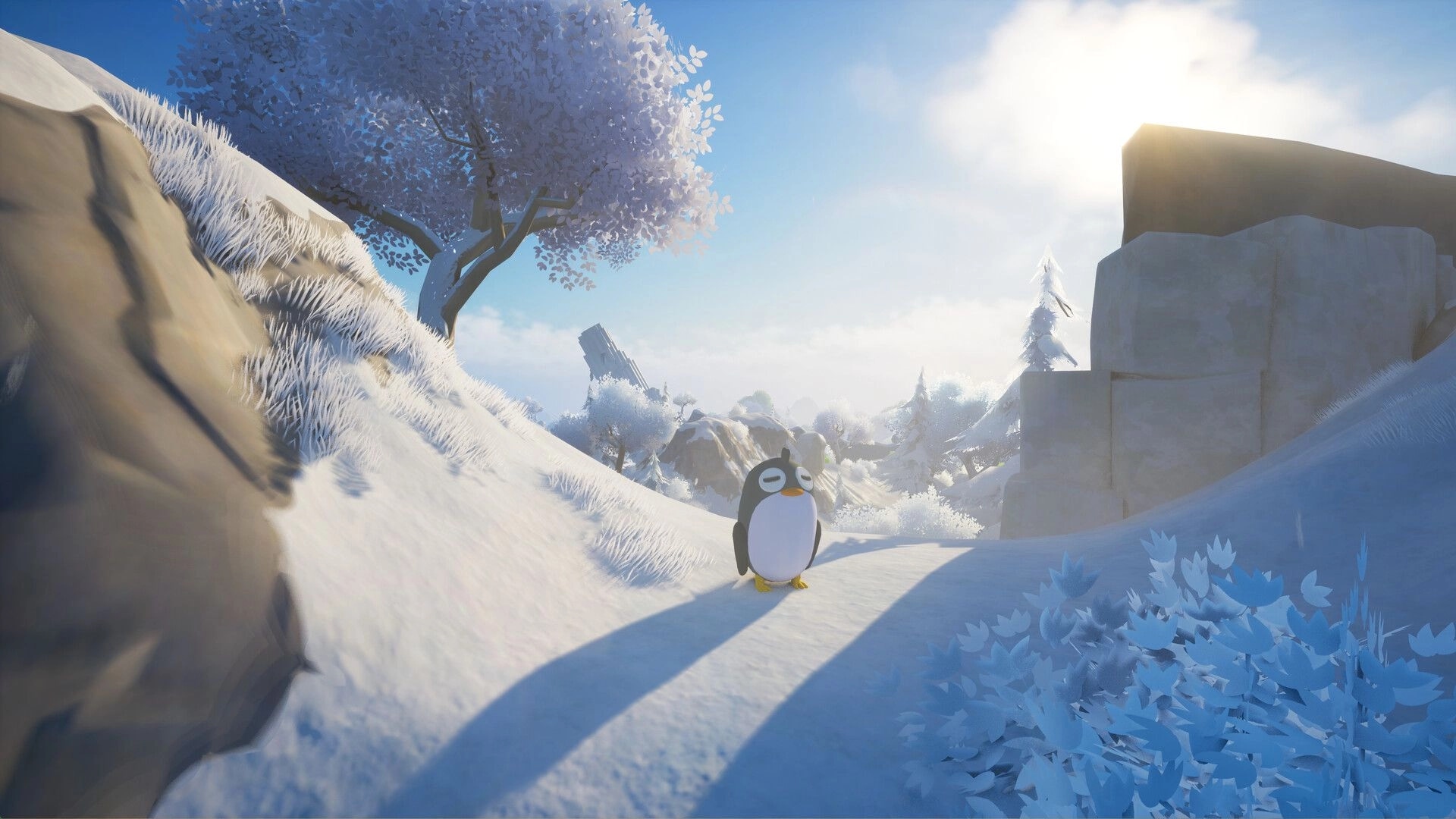 Only Animals: Penguin exploring snowy landscape with frosty trees and sunlight over rocky terrain