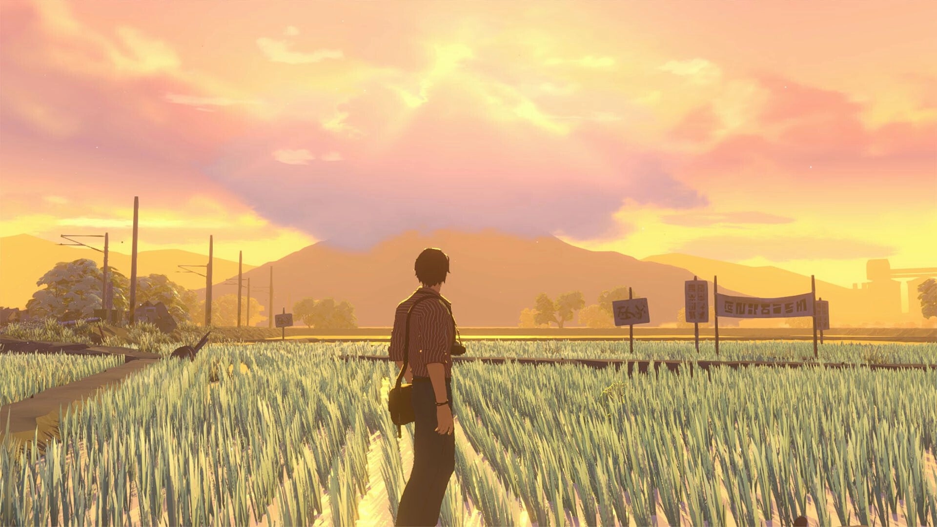 OPUS: A camera view focuses on a sunlit field with distant structures in the Dusklands setting.
