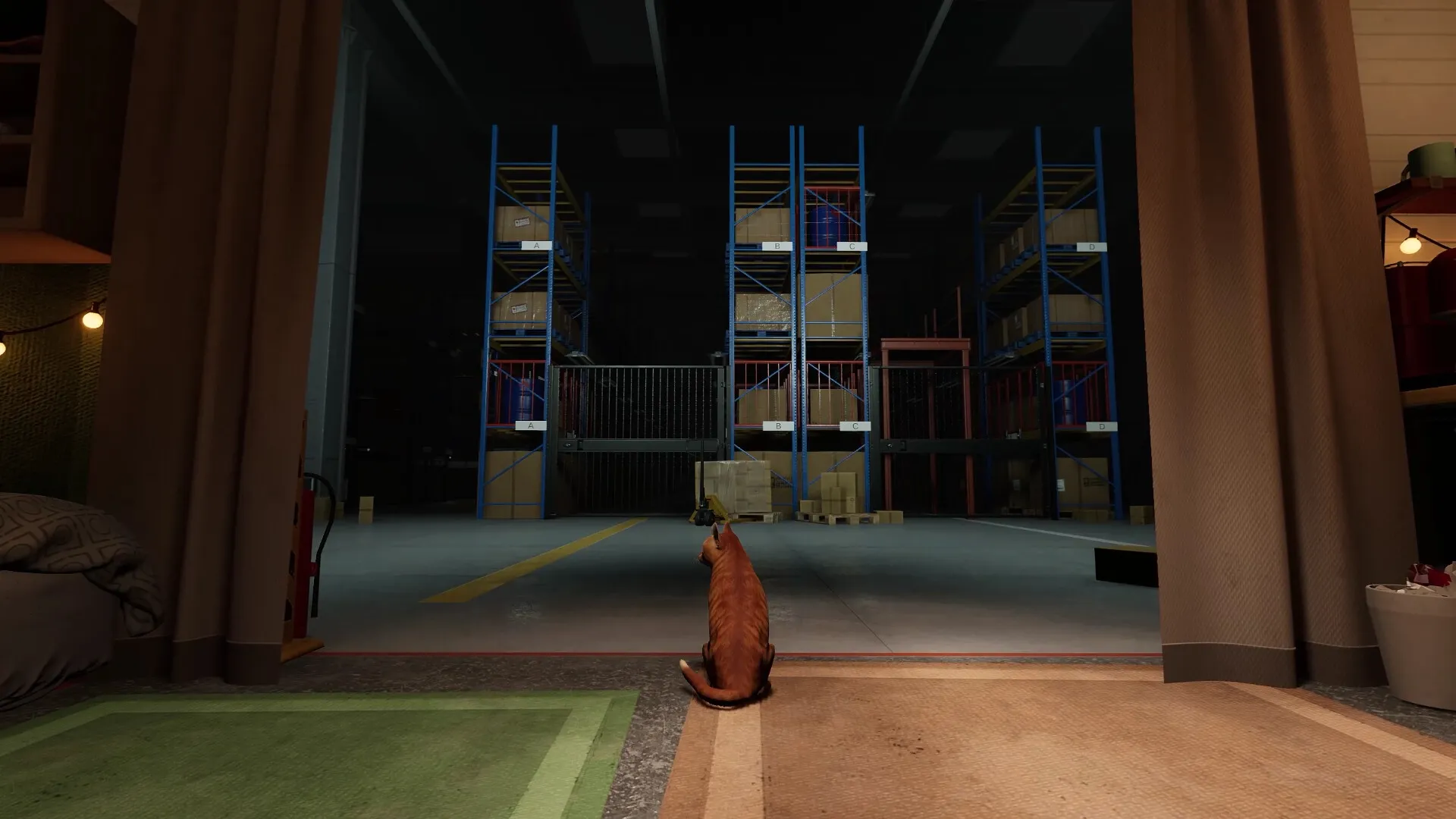 ORDER 13: Cat sitting in a dimly lit warehouse facing stacked boxes on metal shelves