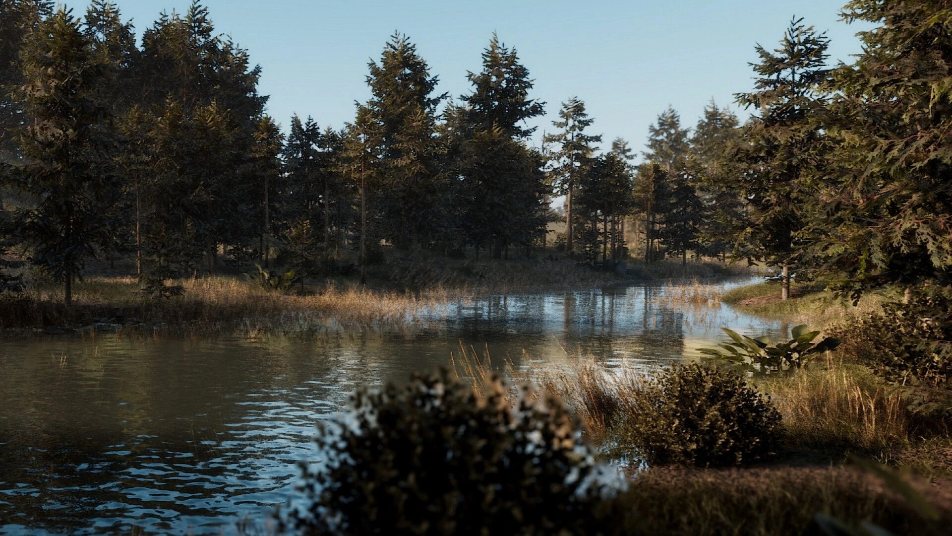 ORMOD: Calm river water reflecting trees and sky in a dense pine forest with grassy banks.