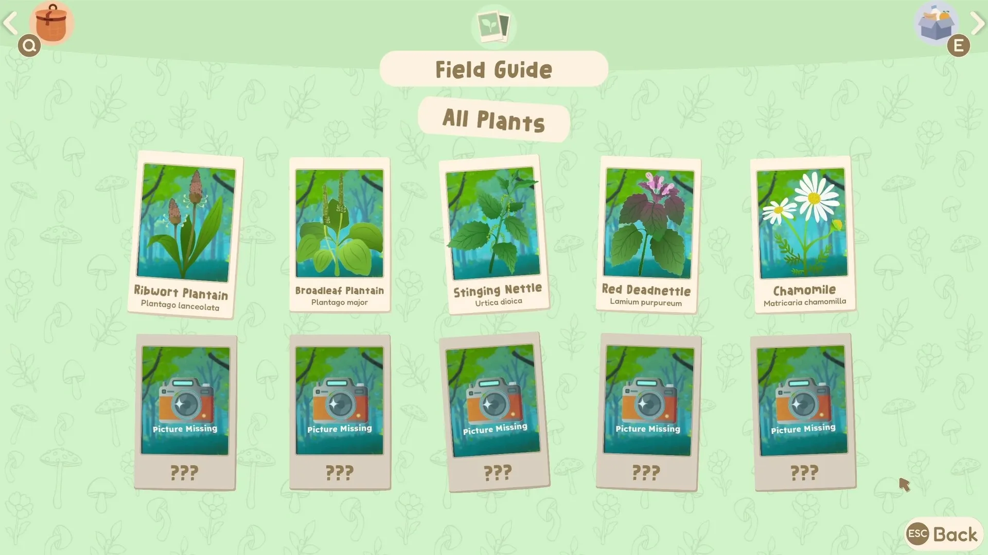 Out and About: Field guide interface displaying identified and missing plant cards on a light green background.
