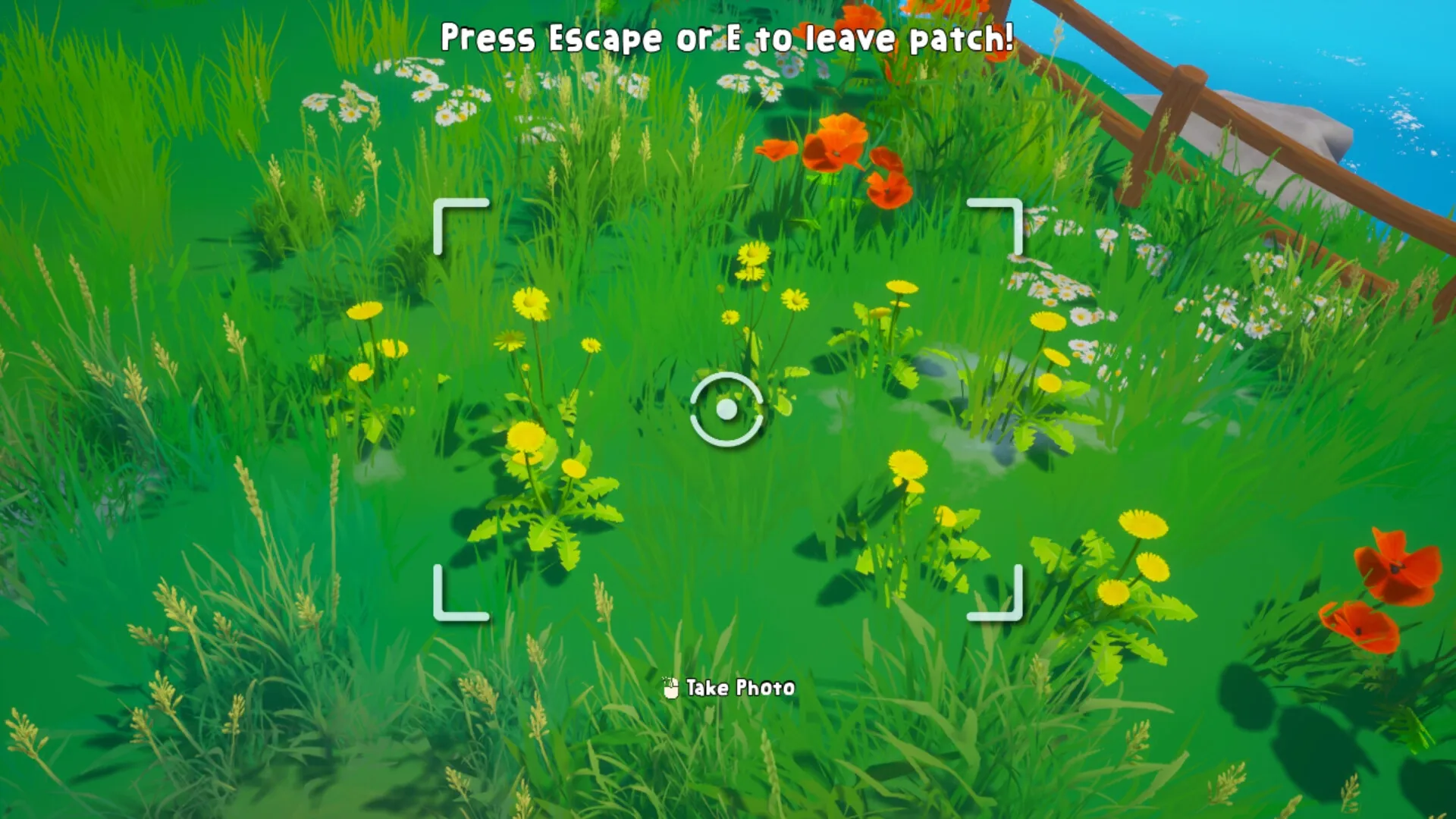 Out and About: Camera view focused on wildflowers in vibrant meadow with "Take Photo" prompt visible
