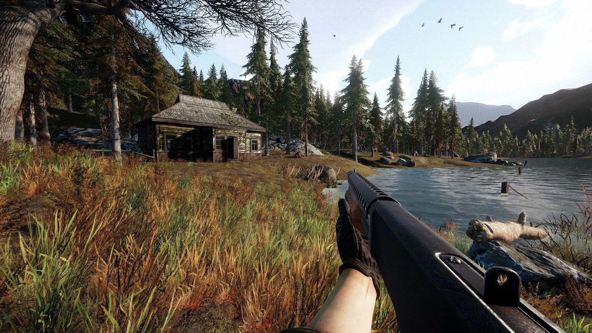 Out Fishing: Holding a shotgun near a haunted cabin by a lake in a dense, eerie forest setting