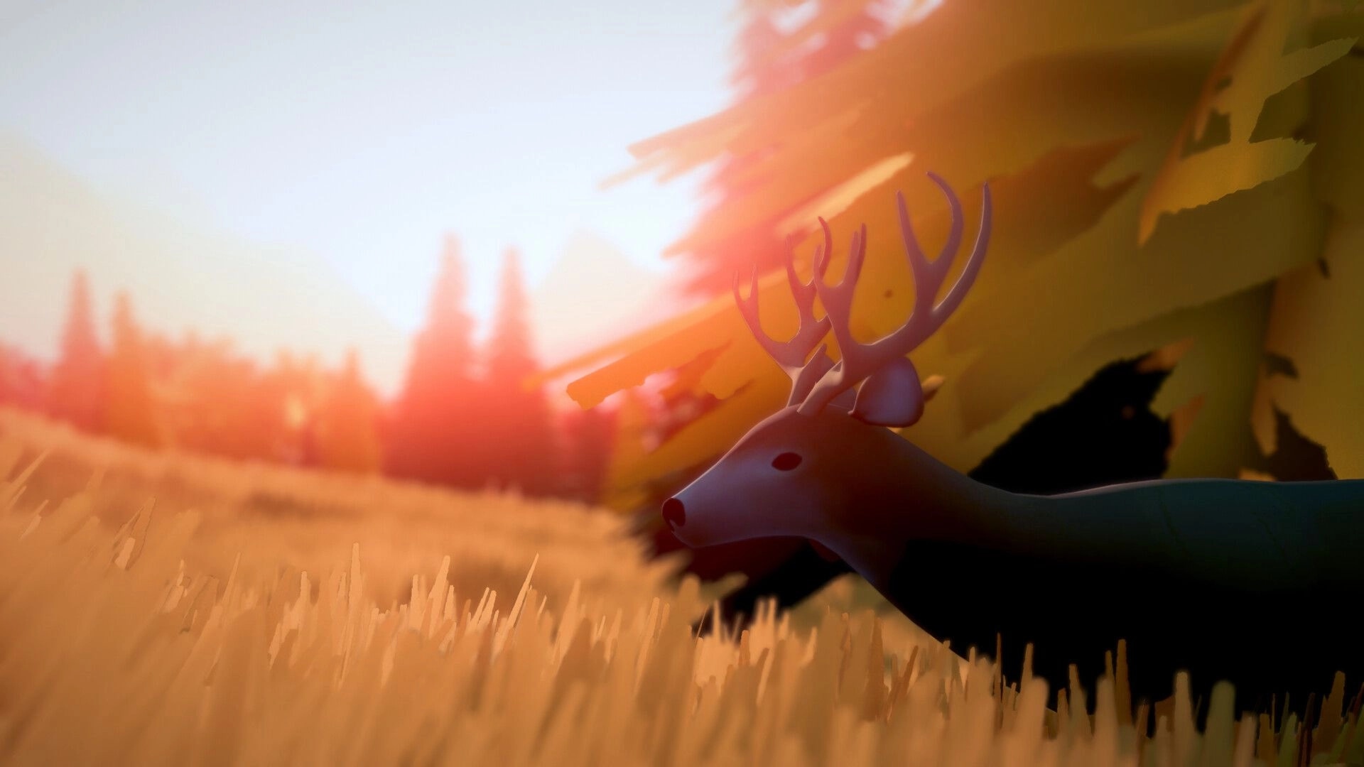 over the hill: close-up of a deer with antlers resting in tall grass under golden forest light.