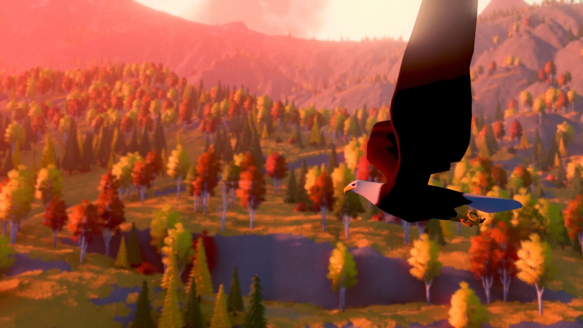 over the hill: Bald eagle gliding over autumn forest and lakes with hazy mountains in sunset light.