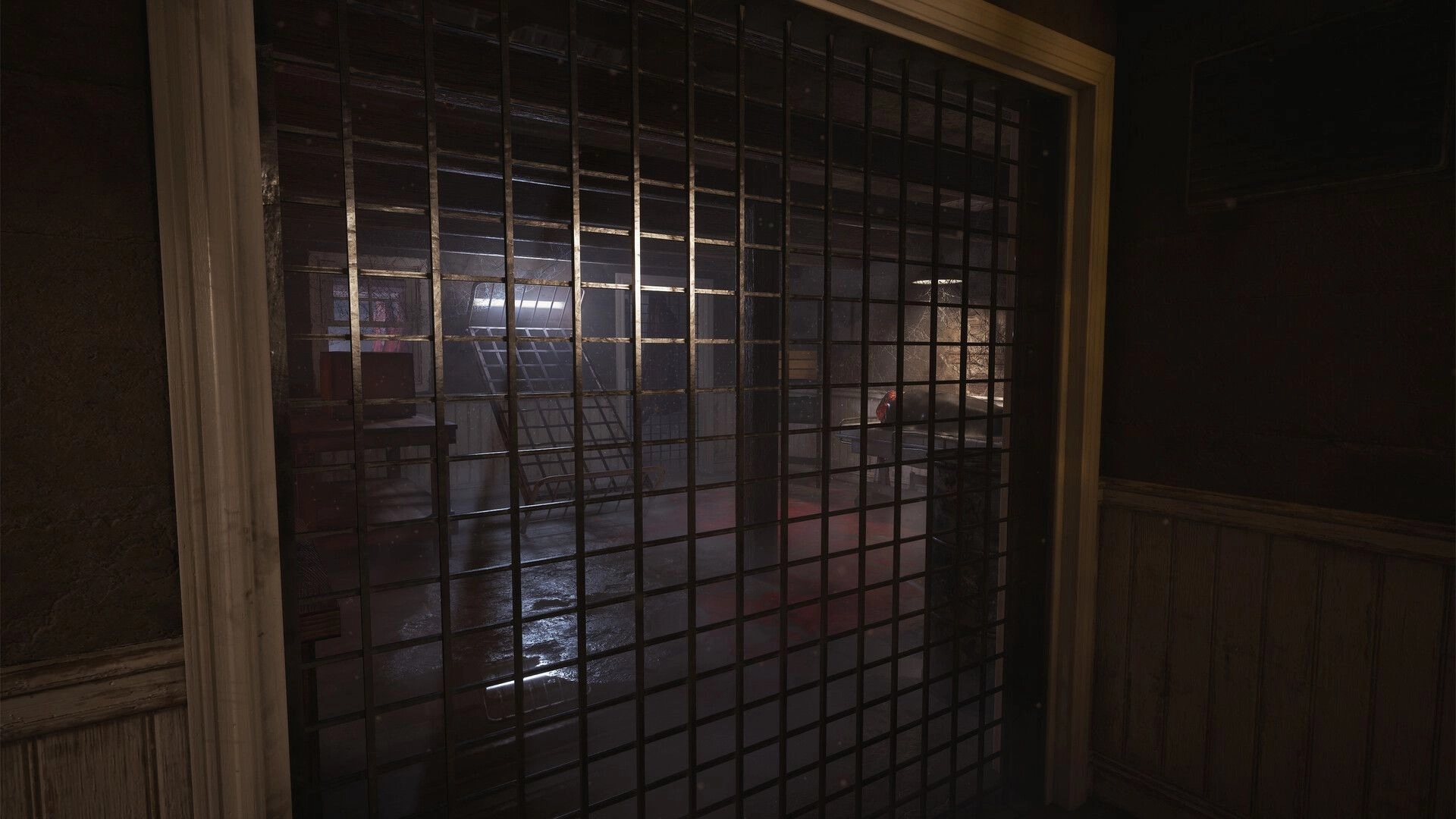 Paresis® II: Viewing a dim storage room through a metal grid door in a worn wooden hallway.