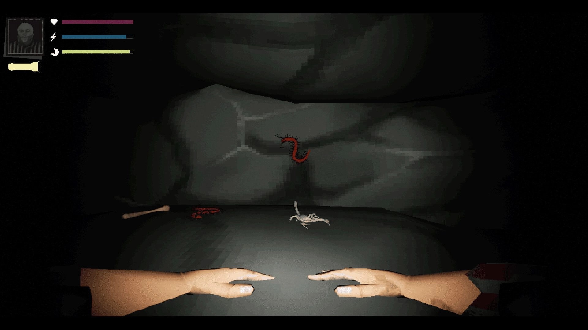 PETRACAL: Player hands in cave tunnel with health bars, red worm, bone, and flashlight icon visible