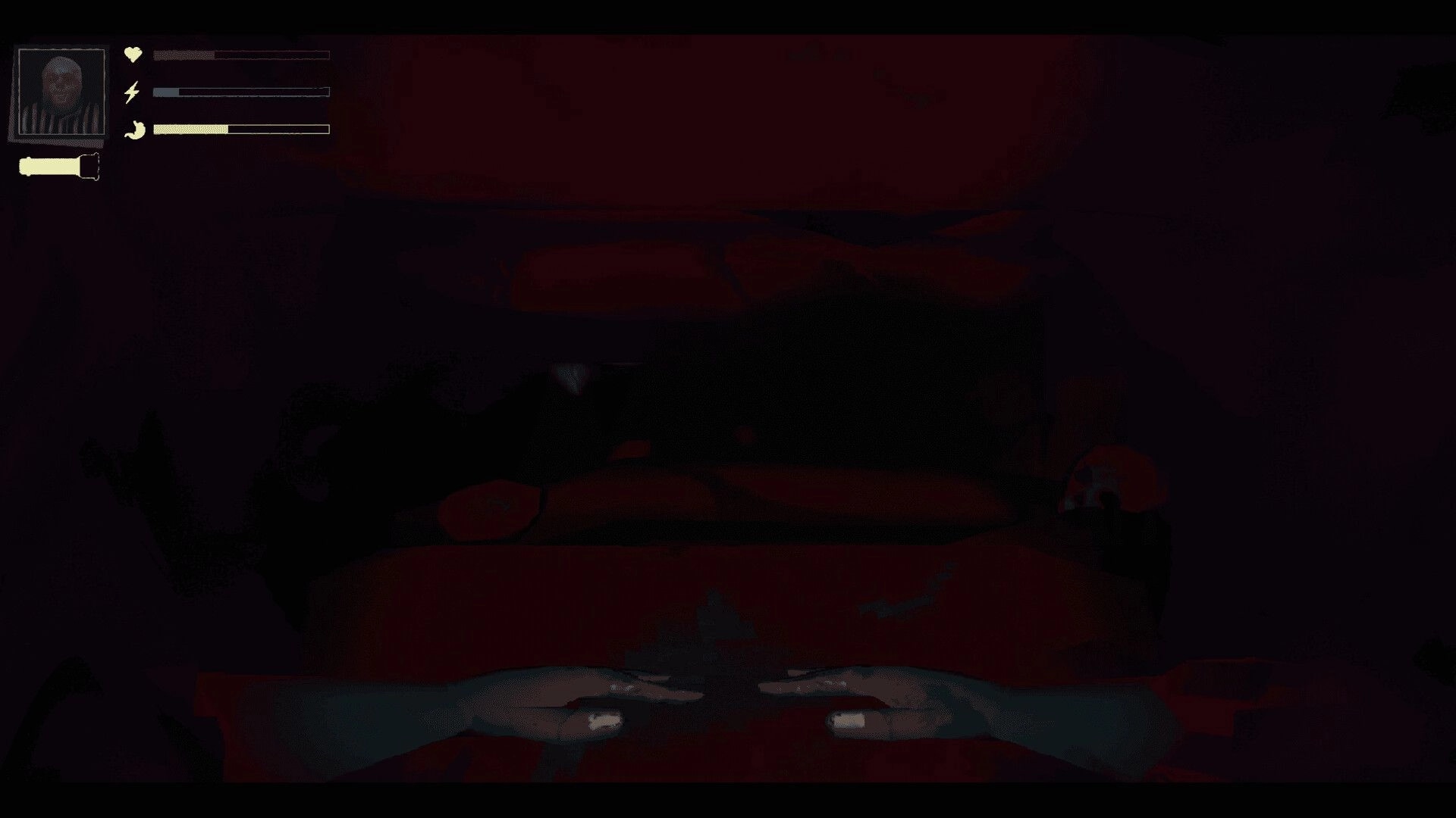 PETRACAL: First-person view with character's hands outstretched in dark cave, health and stamina bars shown.