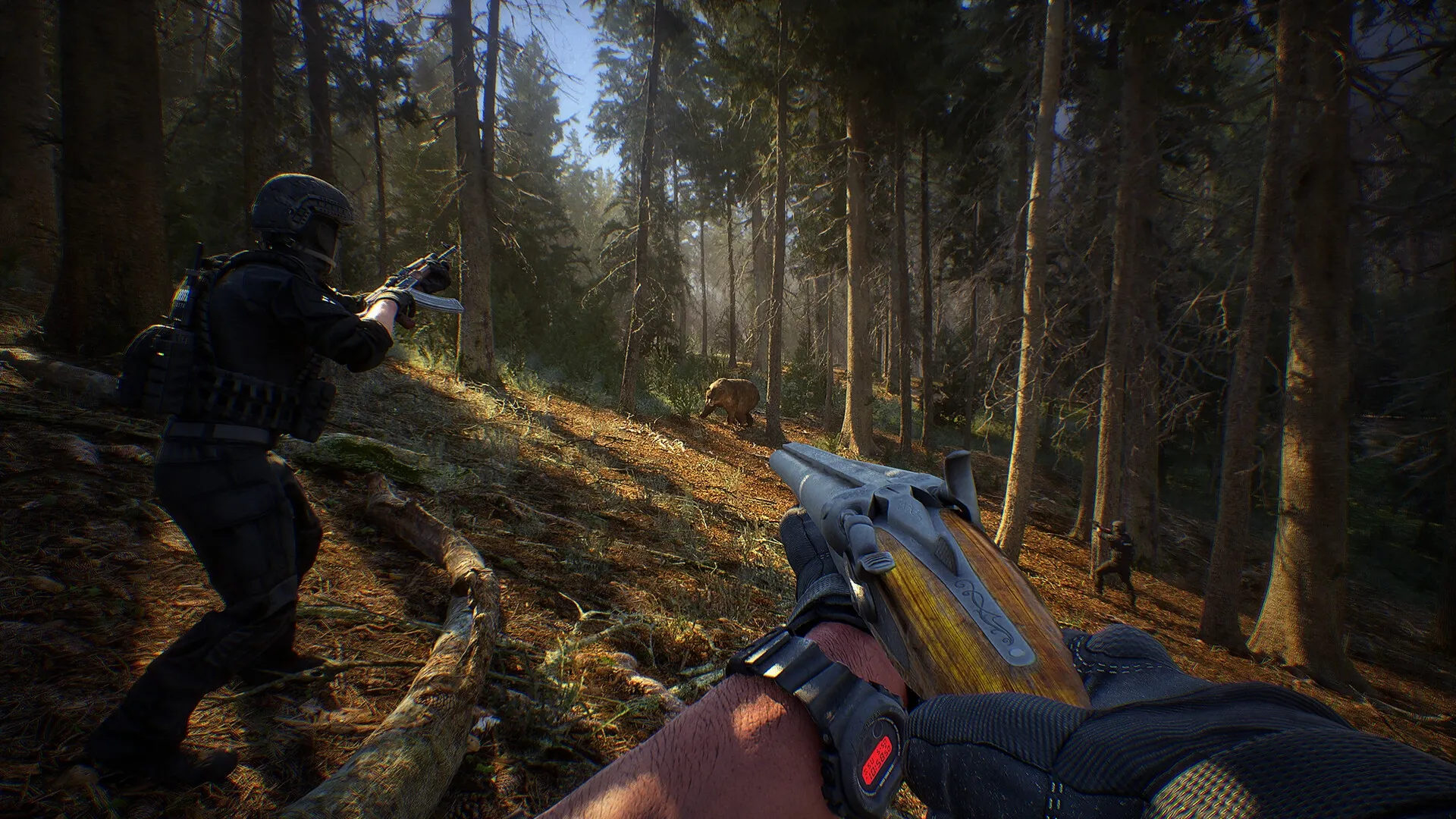 Phantom Line: Player aiming shotgun at boar while teammate advances in dense forest environment.