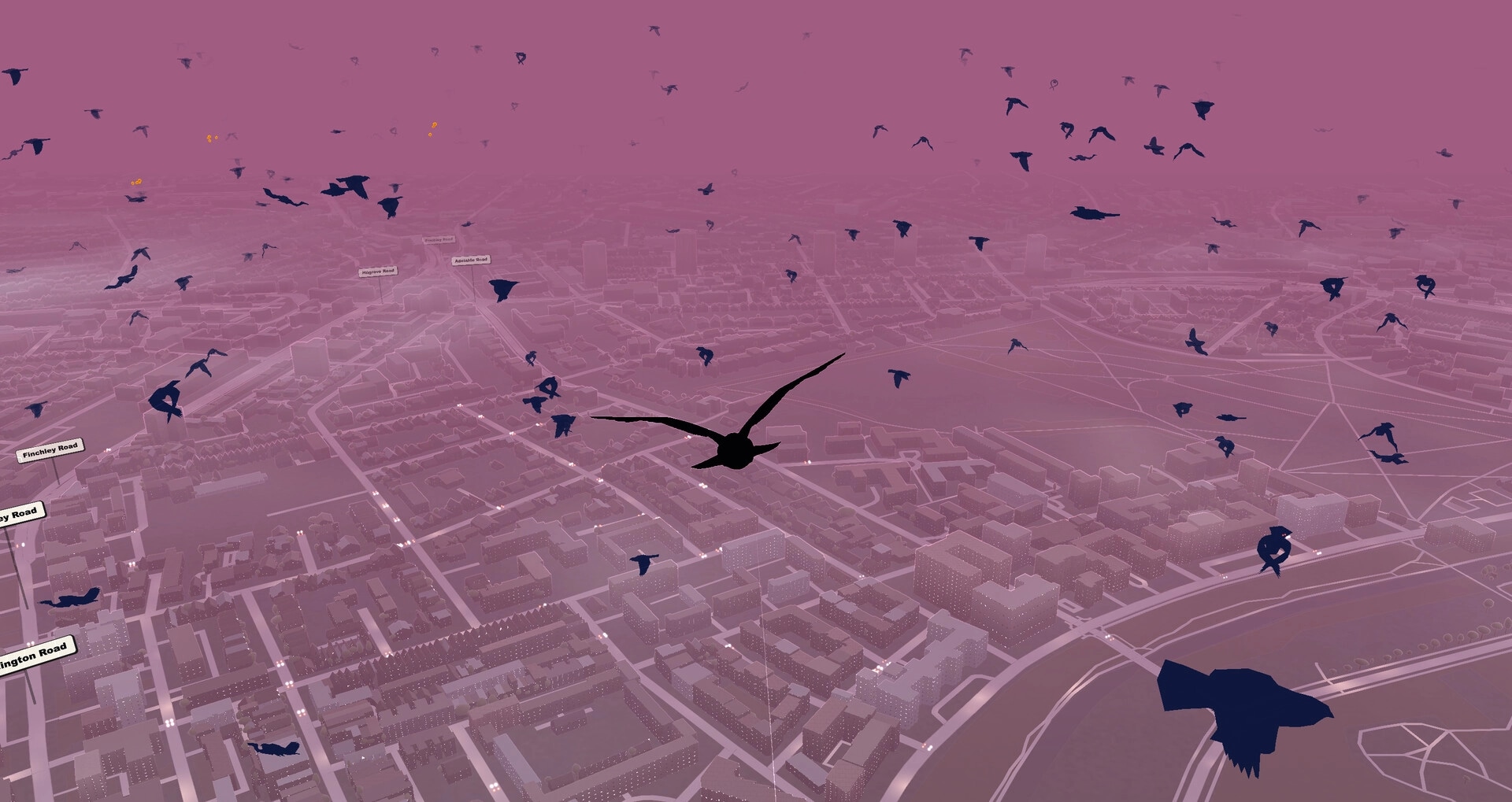 Pigeon: Flock of silhouetted pigeons flying over a purple-tinted city map with street labels visible.