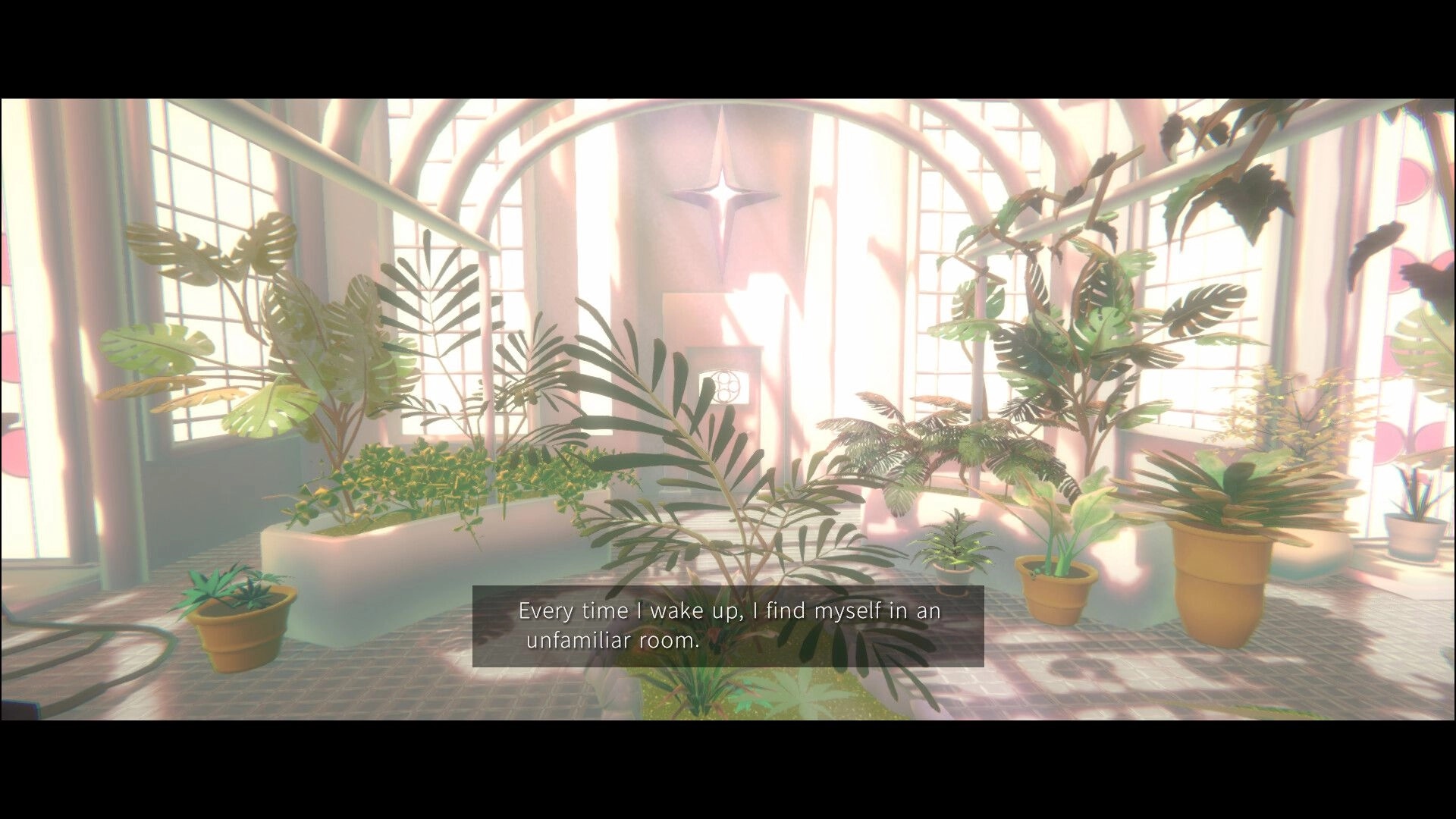PLATONICA SPACE: Subtitle text over a sunlit greenhouse room filled with potted plants and tall windows.
