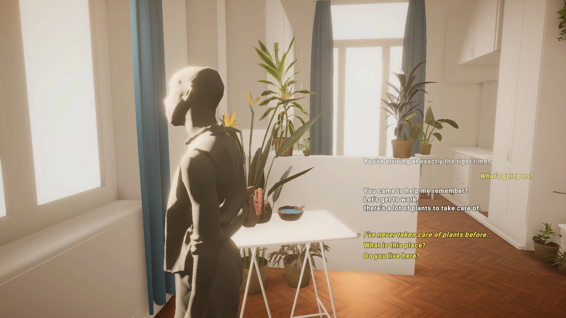 Plum Road Tea Dream: Character standing in sunlit room with dialogue options and plants around table.