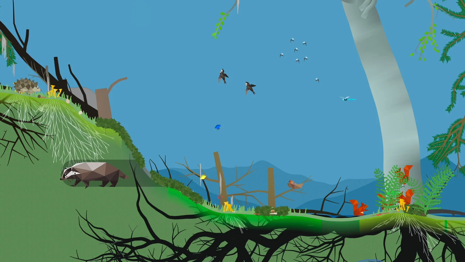 PolyPine: Badger roaming forest floor with birds flying and squirrels in lush greenery
