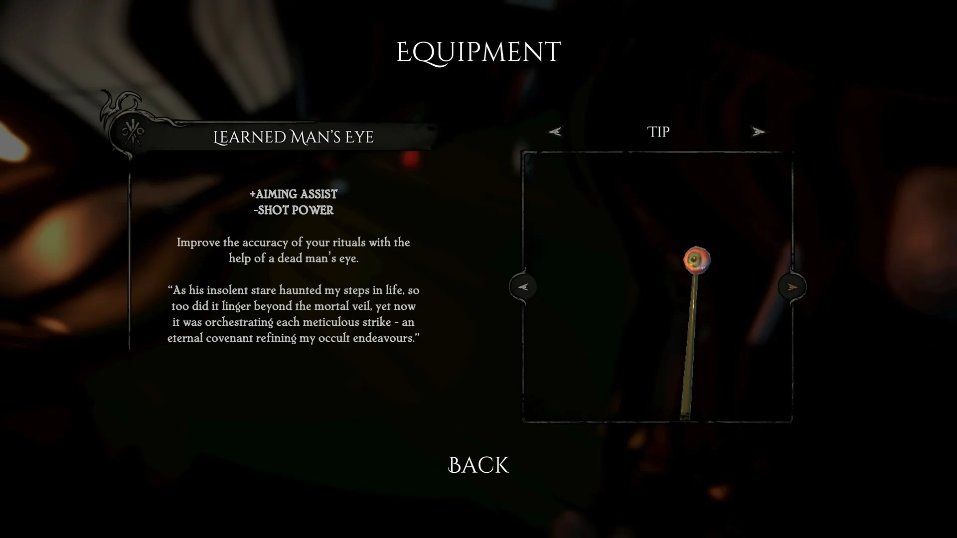 Pool of Madness: Equipment screen with text detailing "Learned Man's Eye" item and its effects