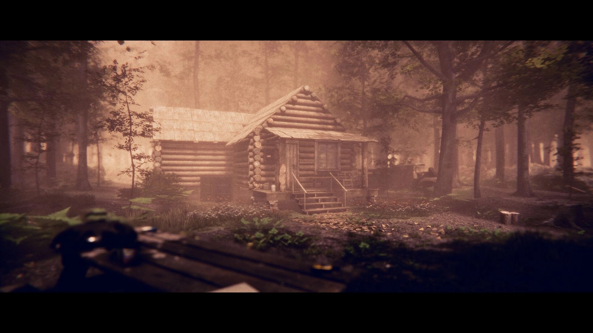 Project Songbird: Log cabin surrounded by dense, misty Appalachian forest with a table in the foreground.