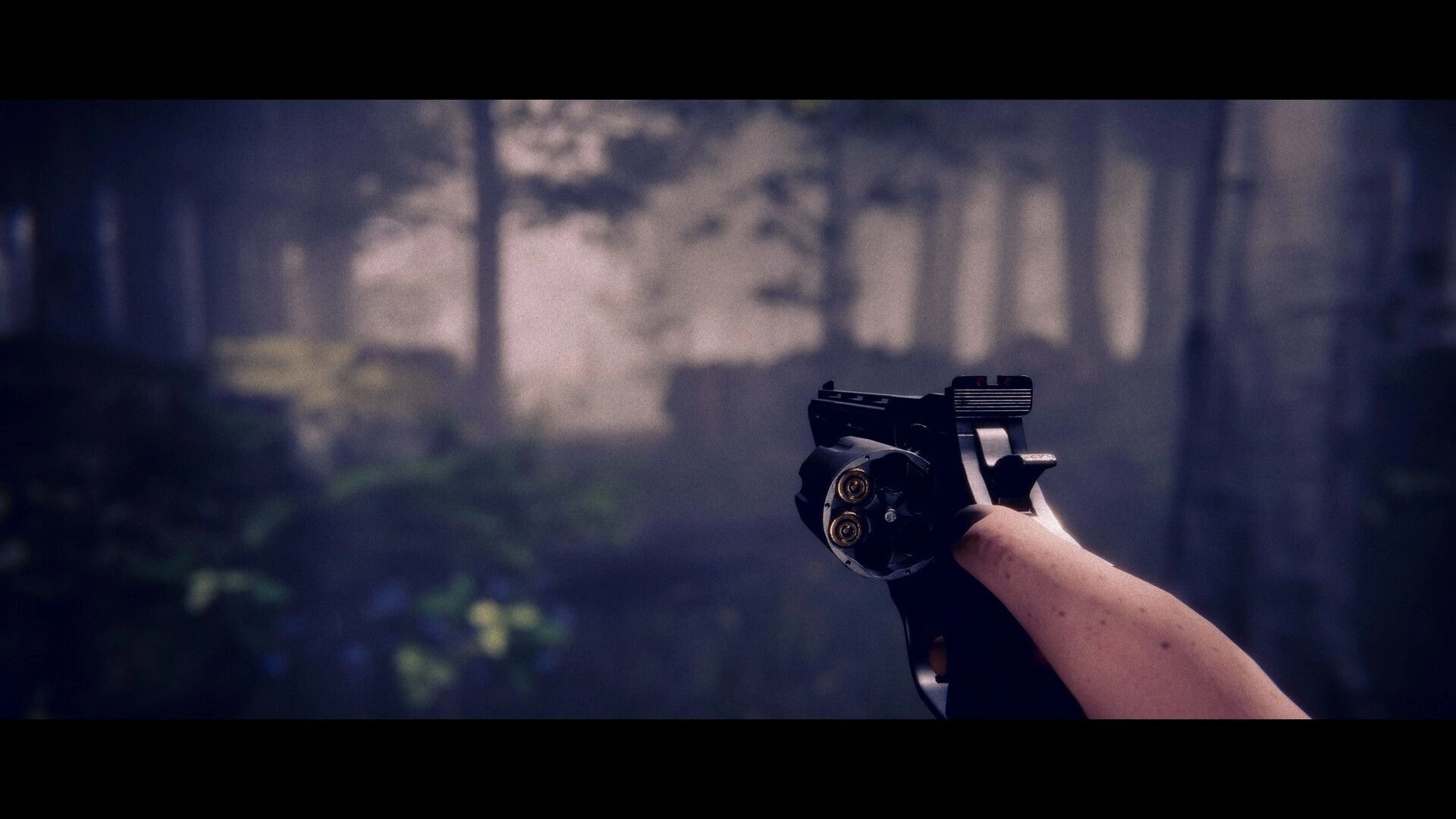 Project Songbird: Dakota aims a revolver in the misty Appalachian forest, surrounded by dense trees.