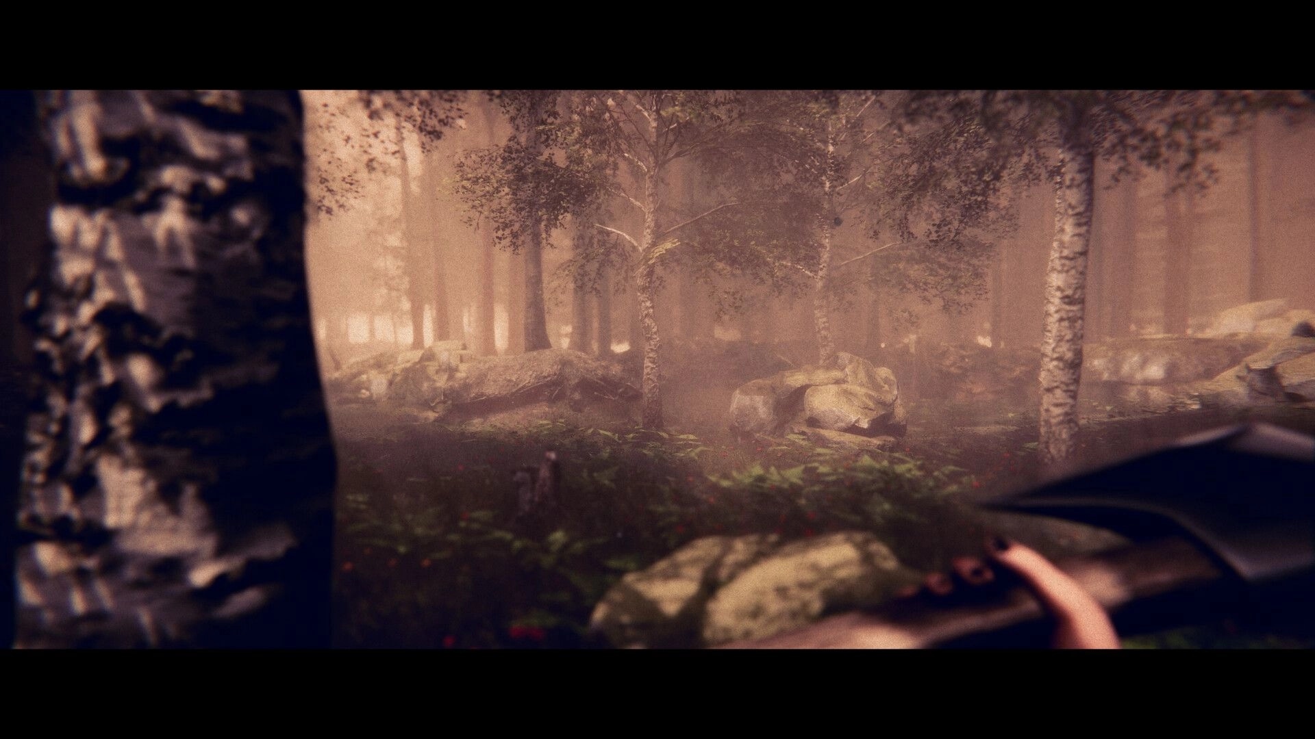 Project Songbird: Dakota holds an axe amidst dense, foggy Appalachian forest with scattered rocks