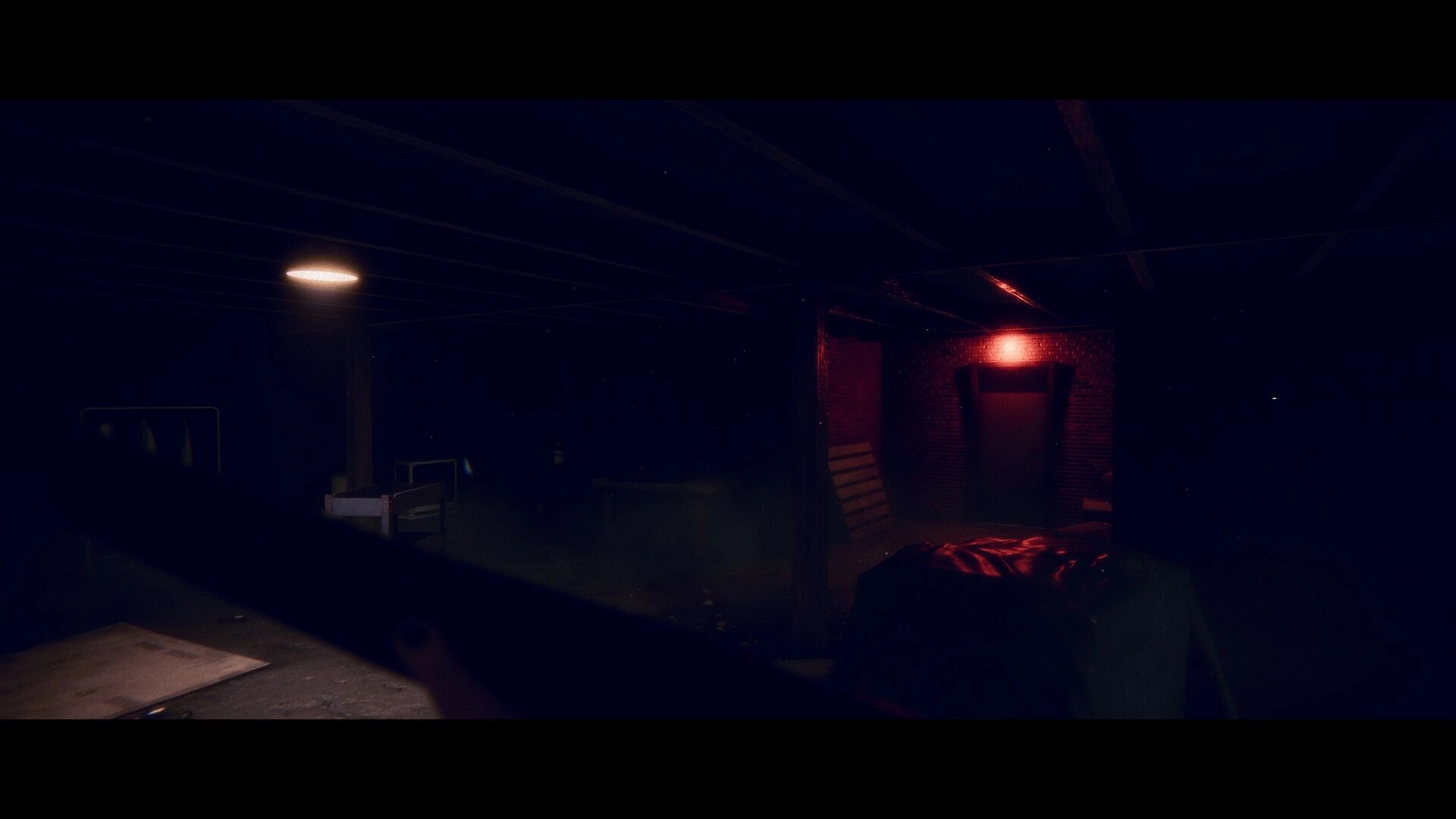 Project Songbird: Dimly lit basement with red light illuminating a closed door in the Appalachian forest