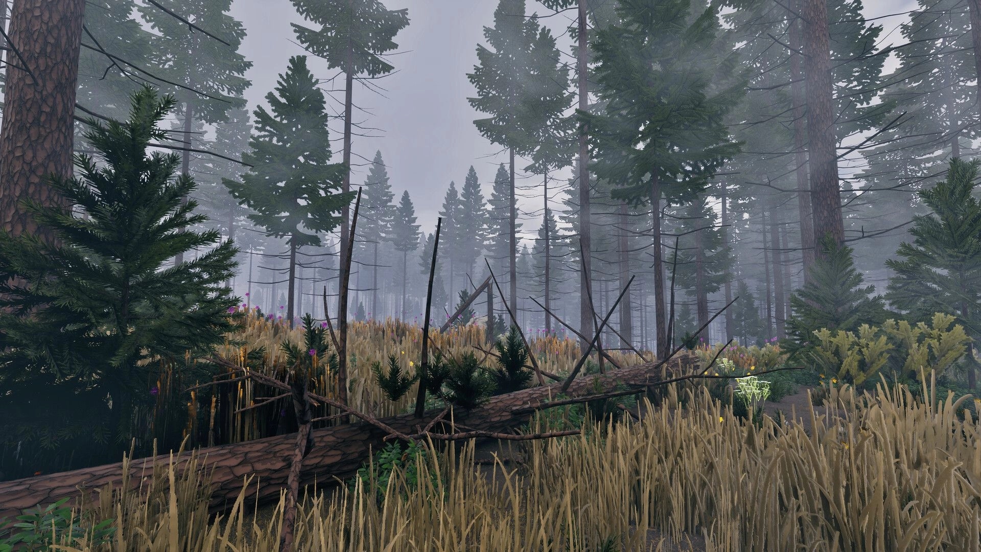 Prologue: Dense forest scene with tall pine trees and fallen logs under a misty sky in a survival setting.