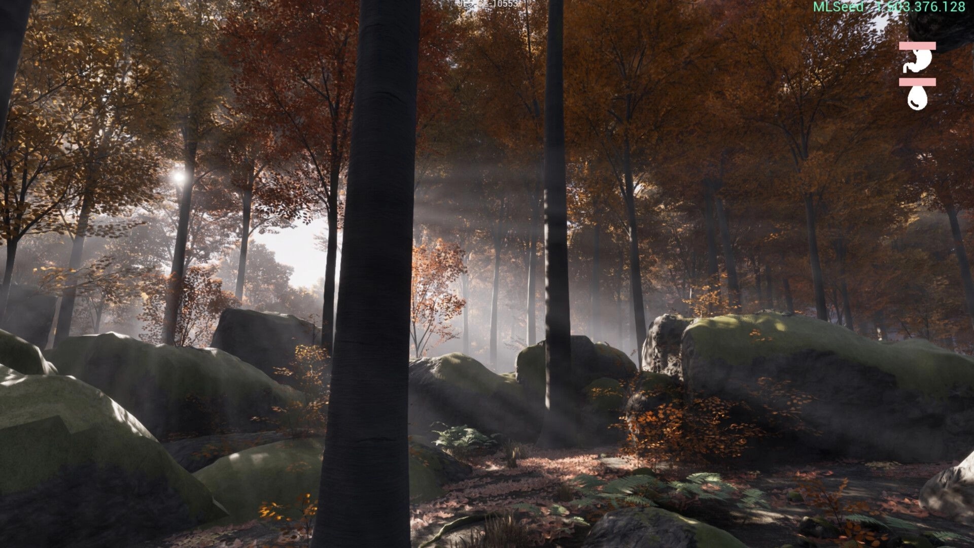 Prologue: Sunlight filters through dense autumn forest with moss-covered rocks and tall trees.