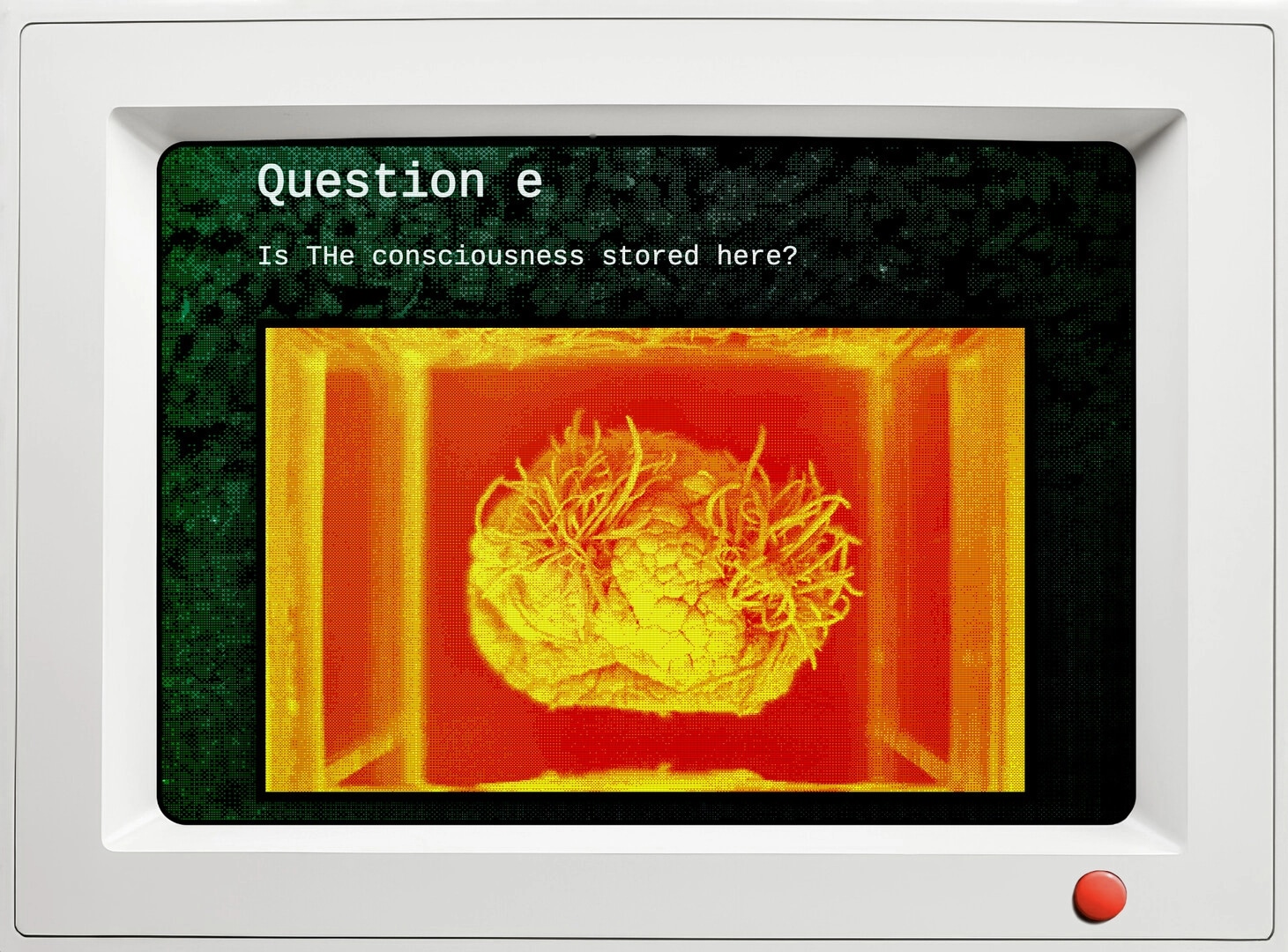 qualia: Screen displaying a question about consciousness with an image of a brain-like object in a box