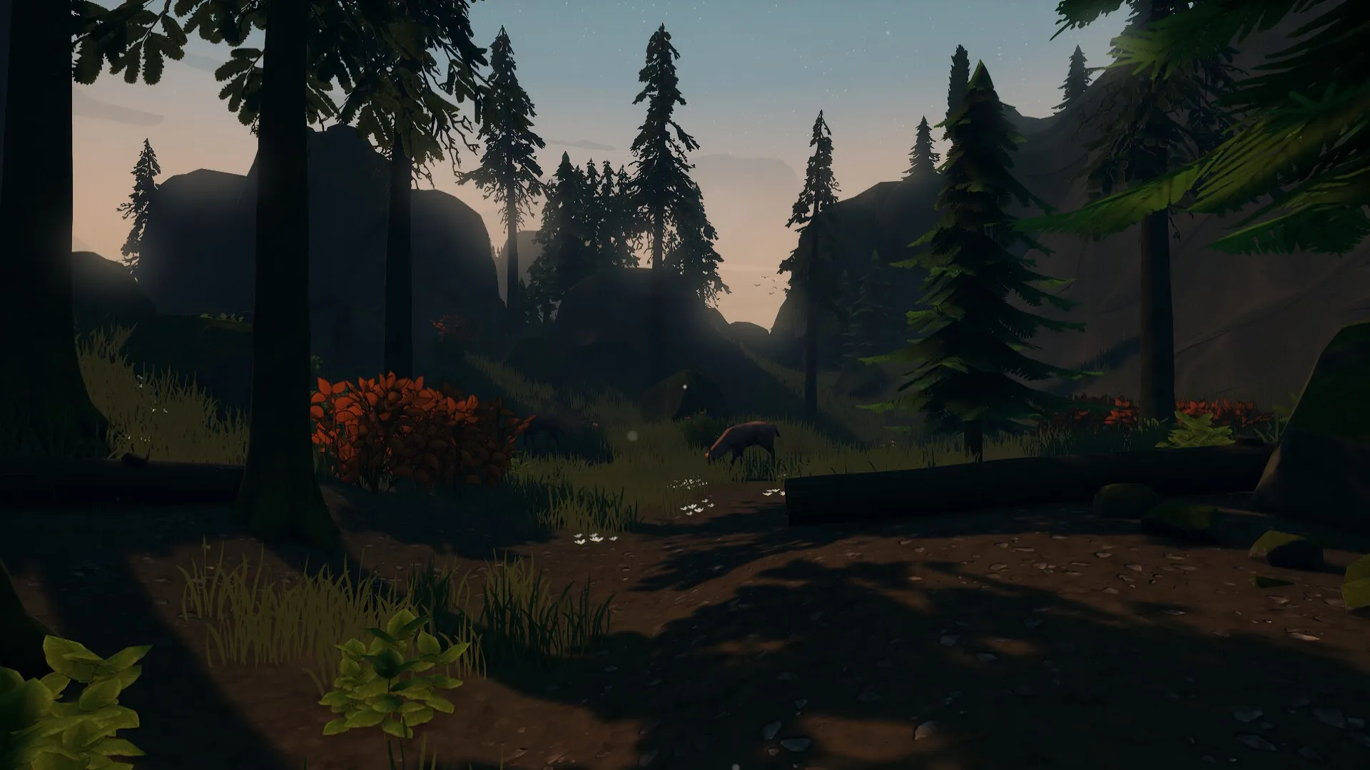 Radiolight: Dense forest landscape with tall trees and hills at dusk in a mysterious national park